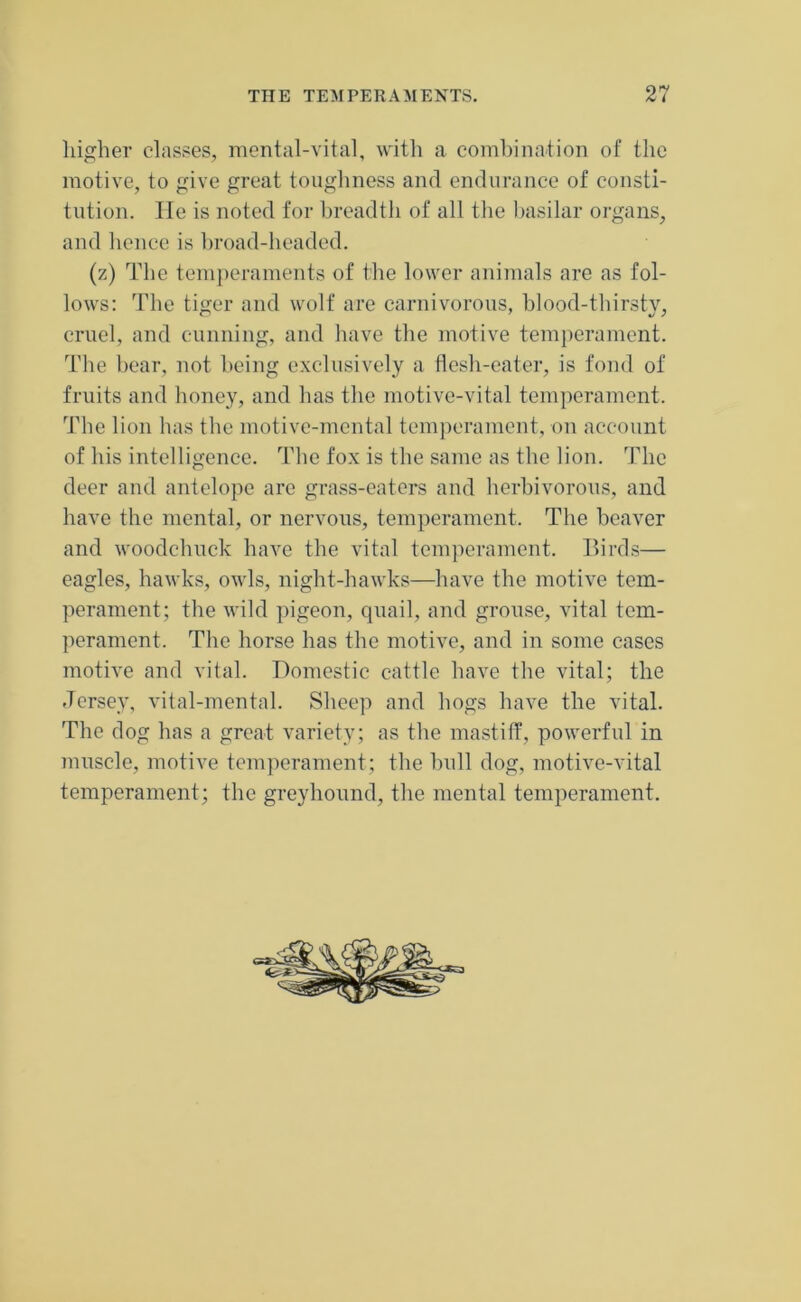 higher classes, mental-vital, with a combination of the motive, to give great toughness and endurance of consti- tution. He is noted for breadth of all the basilar organs, and hence is broad-headed. (z) The temperaments of the lower animals are as fol- lows: The tiger and wolf are carnivorous, blood-thirsty, cruel, and cunning, and have the motive temperament. The bear, not being exclusively a flesh-eater, is fond of fruits and honey, and has the motive-vital temperament. The lion lias tbe motive-mental temperament, on account of his intelligence. Tbe fox is tbe same as tbe lion. The deer and antelope are grass-eaters and herbivorous, and have the mental, or nervous, temperament. The beaver and woodchuck have the vital temperament. Birds— eagles, hawks, owls, night-hawks—have the motive tem- perament; the wild pigeon, quail, and grouse, vital tem- perament. The horse has the motive, and in some cases motive and vital. Domestic cattle have tbe vital; the Jersey, vital-mental. Sheep and hogs have the vital. The dog has a great variety; as the mastiff, powerful in muscle, motive temperament; the bull dog, motive-vital temperament; the greyhound, the mental temperament.