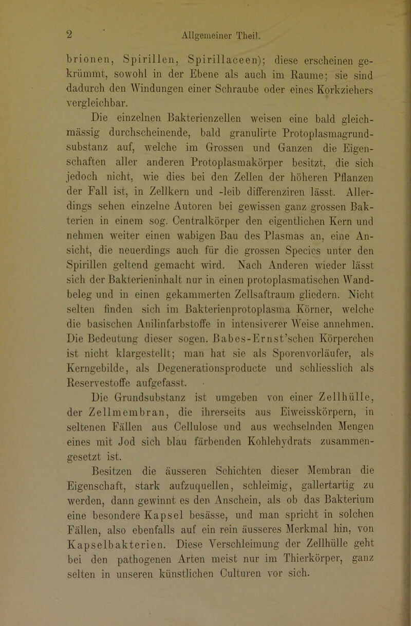 brionen, Spirillen, Spirillaceen); diese erscheinen ge- krümmt, sowohl in der Ebene als auch im Raume; sie sind dadurch den Windungen einer Schraube oder eines Korkziehers vergleichbar. Die einzelnen Baktericnzellen Aveiscn eine bald gleich- massig durchscheinende, bald granulirte Protoplasraagrund- substanz auf, welche im Grossen und Ganzen die Eigen- schaften aller anderen Protoplasmakörper besitzt, die sicli jedoch nicht, wie dies bei den Zellen der hölieren Pflanzen der Fall ist, in Zellkern und -leib dilferenziren lässt. Aller- dings sehen einzelne Autoren bei gewissen ganz grossen Bak- terien in einem sog. Centralkörper den eigentlichen Kern und nehmen weiter einen wabigen Bau des Plasmas an, eine An- sicht, die neuerdings auch für die grossen Specics unter den Spirillen geltend gemacht \Wrd. Nach Anderen wieder lässt sich der Bakterieninhalt nur in einen protoplasmatischen Wand- beleg und in einen gekammerten Zellsaftraum gliedern. Nicht selten finden sich im Bakterienprotoplasma Körner, welche die basischen AnilinfarbstolTc in intensiverer AVeise annehmen. Die Bedeutung dieser sogen. Babes-Ernst’schen Körperchen ist nicht klargestellt; man hat sie als Sporen Vorläufer, als Kerngebilde, als Degenerationsproducte und schliesslich als Reservestoffe aufgefasst. Die Grundsubstanz ist umgeben von einer Zell hü Ile, der Zellmembran, die ihrerseits aus Eiweisskörpern, in seltenen Fällen aus Cellulose und aus wechselnden Mengen eines mit Jod sich blau färbenden Kohlehydrats zusammen- gesetzt ist. Besitzen die äusseren Schichten dieser Membran die Eigenschaft, stark aufzuquellen, schleimig, gallertartig zu werden, dann gewinnt es den Anschein, als ob das Bakterium eine besondere Kapsel besässe, und man spricht in solchen Fällen, also ebenfalls auf ein rein äusseres Merkmal hin, von Kapselbakterien. Diese Verschleimung der Zellhülle geht bei den pathogenen Arten meist nur im Thierkörper, ganz selten in unseren künstlichen Culturen vor sich.