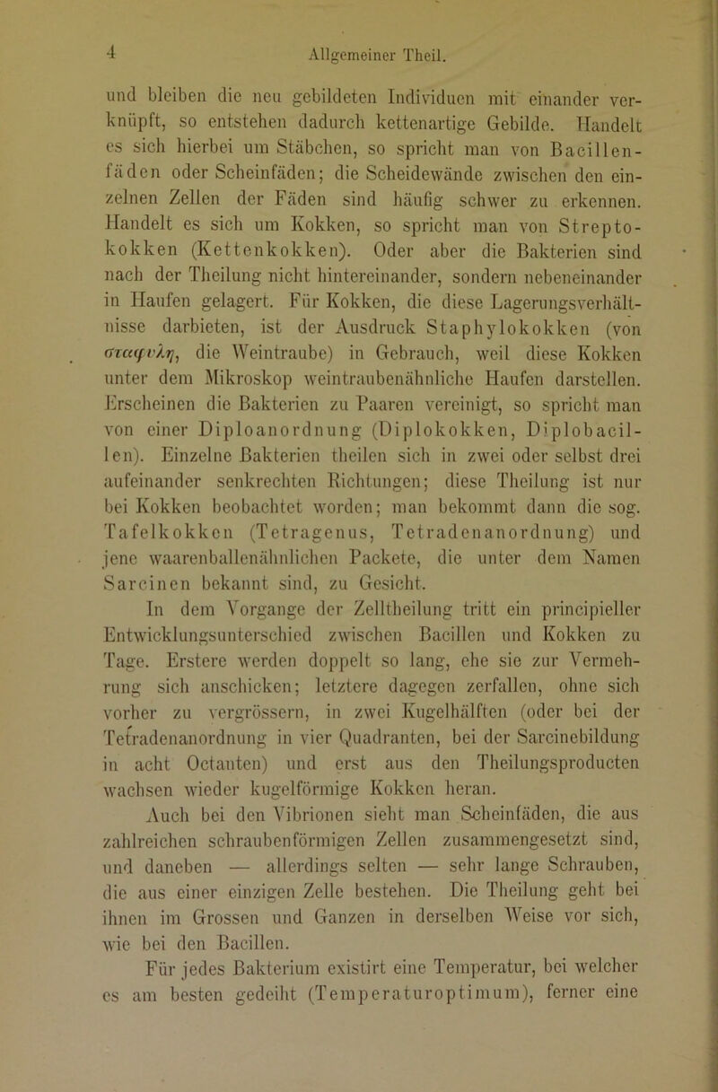 und bleiben die neu gebildeten Individuen mit einander ver- knüpft, so entstehen dadurch kettenartige Gebilde. Handelt es sich hierbei um Stäbchen, so spricht man von Bacillen- fäden oder Scheinfäden; die Scheidewände zwischen den ein- zelnen Zellen der Fäden sind häufig schwer zu erkennen. Handelt es sich um Kokken, so spricht man von Strepto- kokken (Kettenkokken). Oder aber die Bakterien sind nach der Theilung nicht hintereinander, sondern nebeneinander in Flaufen gelagert. Für Kokken, die diese Lagerungsverhält- nisse darbieten, ist der Ausdruck Staphylokokken (von (TTccffvXij, die Weintraube) in Gebrauch, weil diese Kokken unter dem Mikroskop weintraubenähnliche Haufen darstellen, hirscheinen die Bakterien zu Paaren vereinigt, so spricht man von einer Diploanordnung (Diplokokken, Diplobacil- len). Einzelne Bakterien theilen sich in zwei oder selbst drei aufeinander senkrechten Richtungen; diese Theilung ist nur bei Kokken beobachtet worden; man bekommt dann die sog. Tafelkokken (Tetragenus, Tetradenanordnung) und jene waarenballenähnlichen Packete, die unter dem Namen Sarcinen bekannt sind, zu Gesicht. In dem Vorgänge der Zelltheilung tritt ein principieller Entwicklungsunterschied zwischen Bacillen und Kokken zu Tage. Erstere werden doppelt so lang, ehe sie zur Vermeh- rung sich anschicken; letztere dagegen zerfallen, ohne sich vorher zu vergrössern, in zwei Kugelhälften (oder bei der Tetradenanordnung in vier Quadranten, bei der Sarcinebildung in acht Octanten) und erst aus den Theilungsproducten wachsen wieder kugelförmige Kokken heran. Auch bei den Vibrionen sieht man Scheinfäden, die aus zahlreichen schraubenförmigen Zellen zusammengesetzt sind, und daneben — allerdings selten — sehr lange Schrauben, die aus einer einzigen Zelle bestehen. Die Theilung geht bei ihnen im Grossen und Ganzen in derselben Weise vor sich, wie bei den Bacillen. Für jedes Bakterium existirt eine Temperatur, bei welcher cs am besten gedeiht (Temperaturoptimum), ferner eine