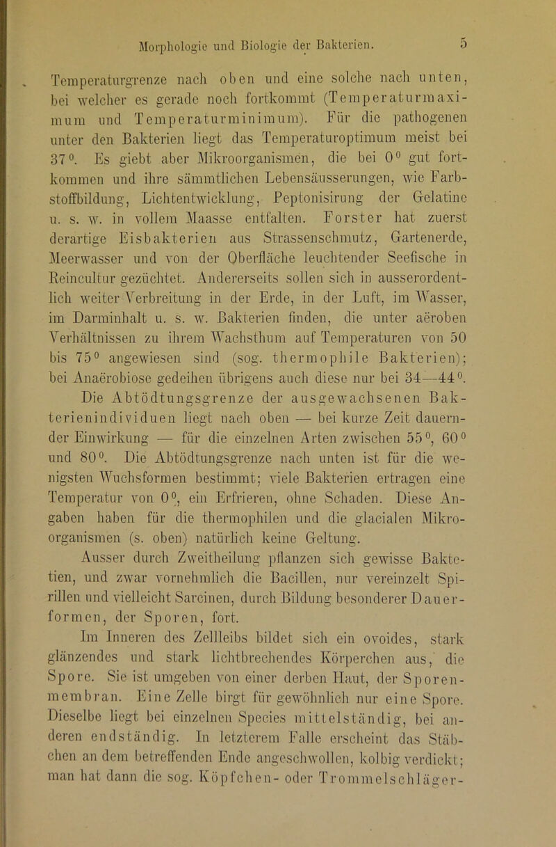 Temperaturgrenze nach oben und eine solclie nacli unten, bei Avelcber es gerade noch fovtlcoinint (Teinperaturinaxi- nuim und Temperatunninimum). Für die pathogenen unter den Bakterien liegt das Teinperaturoptimura meist bei 37®. Es giebt aber Mikroorganismen, die bei 0® gut fort- kommen und ihre sämmtlichen Lebensäusserungen, wie Farb- stoffbildung, Lichtentwicklimg, Peptonisirung der Gelatine u. s. w. in vollem Maasse entfalten. Förster hat zuerst derartige Eisbakterieii aus Strassenschmutz, Gartenerde, Meerwasser und von der Oberfläche leuchtender Seefische in Reincultiir gezüchtet. Andererseits sollen sich in ausserordent- lich weiter Verbreitung in der Erde, in der Luft, im AVasser, im Darminhalt u. s. w. Bakterien finden, die unter aeroben A^erhältnissen zu ihrem AA'achsthum auf Temperaturen von 50 bis 75® angewiesen sind (sog. thermophile Bakterien); bei Anaerobiose gedeihen übrigens auch diese nur bei 34—44®. Die Abtödtungsgrenze der ausgewachsenen Bak- terienindividuen liegt nach oben — bei kurze Zeit dauern- der Einwirkung — für die einzelnen Arten zwischen 55®, 60® und 80®. Die Abtödtungsgrenze nach unten ist für die we- nigsten AATichsformen bestimmt; viele Bakterien ertragen eine Temperatur von 0®, ein Erfrieren, ohne Schaden. Diese An- gaben haben für die thermophilen und die glacialen Mikro- organismen (s. oben) natürlich keine Geltung. Ausser durch Zweitheilung pflanzen sich gewisse Bakte- tien, und zwar vornehmlich die Bacillen, nur vereinzelt Spi- rillen und vielleicht Sarcinen, durch Bildung besonderer Dauer- formen, der Sporen, fort. Im Inneren des Zellleibs bildet sich ein ovoides, stark glänzendes und stark lichtbrechendes Körperchen aus, die Spore. Sie ist umgeben von einer derben Haut, der Sporen- membran. Eine Zelle birgt für gewöhnlich nur eine Spore. Dieselbe liegt bei einzelnen Species mittelständig, bei an- deren endständig. In letzterem Falle erscheint das Stäb- chen an dem betreffenden Ende angeschwollen, kolbig verdickt; man hat dann die sog. Köpfchen- oder Trommelschläger-