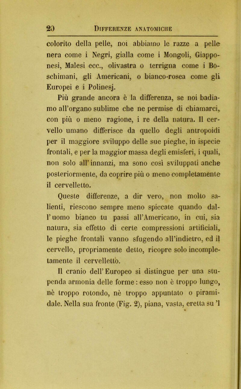 colorito della pelle, noi abbiamo le razze a pelle nera come i Negri, gialla come i Mongoli, Giappo- nesi, Malesi ecc., olivastra o terrigna come i Bo- schimani, gli Americani, o bianco-rosea come gli Europei e i Polinesj. Più grande ancora è la differenza, se noi badia- mo all’organo sublime che ne permise di chiamarci, con più 0 meno ragione, i re della natura. Il cer- vello umano differisce da quello degli antropoidi per il maggiore sviluppo delle sue pieghe, in ispecie frontali, e per la maggior massa degli emisferi, i quali, non solo all’ innanzi, ma sono così sviluppati anche posteriormente, da coprire più o meno completamente il cervelletto. Queste differenze, a dir vero, non molto sa- lienti, riescono sempre meno spiccate quando dal- l’uomo bianco tu passi all’Americano, in cui, sia natura, sia effetto di certe compressioni artificiali, le pieghe frontali vanno sfugendo all’indietro, ed il cervello, propriamente detto, ricopre solo incomple- tamente il cervelletto. Il cranio dell’Europeo si distingue per una stu- penda armonia delle forme : esso non è troppo lungo, nè troppo rotondo, nè troppo appuntato o pirami- dale. Nella sua fronte (Fig. 2), piana, vasta, eretta su ’l