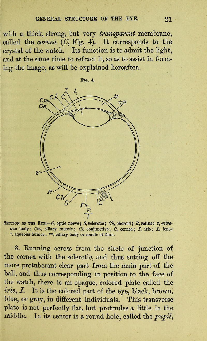 with a thick, strong, but very transparent membrane, called the cornea (GFig. 4). It corresponds to the crystal of the watch. Its function is to admit the light, and at the same time to refract it, so as to assist in form- ing the image, as will be explained hereafter. Fig. 4. ous body; Cm, ciliary muscle; Cj, conjunctiva; C, cornea; /, iris; X, lens; *, aqueous humor; **, ciliary body or zonule of Zinn. 3. Running across from the circle of junction of the cornea with the sclerotic, and thus cutting off the more protuberant clear part from the main part of the ball, and thus corresponding in position to the face of the watch, there is an opaque, colored plate called the ms, I. It is the colored part of the eye, black, brown, blue, or gray, in different individuals. This transverse plate is not perfectly flat, but protrudes a little in the middle. In its center is a round hole, called the pupil,