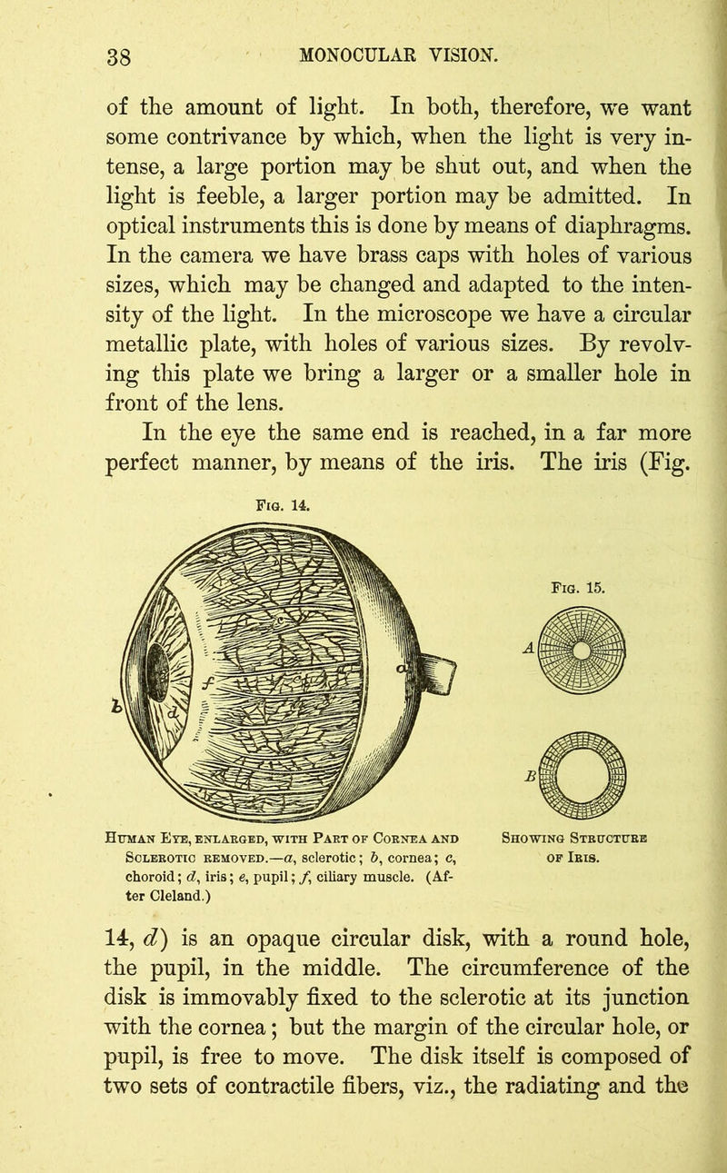 of the amount of light. In both, therefore, we want some contrivance by which, when the light is very in- tense, a large portion may be shut out, and when the light is feeble, a larger portion may be admitted. In optical instruments this is done by means of diaphragms. In the camera we have brass caps with holes of various sizes, which may be changed and adapted to the inten- sity of the light. In the microscope we have a circular metallic plate, with holes of various sizes. By revolv- ing this plate we bring a larger or a smaller hole in front of the lens. In the eye the same end is reached, in a far more perfect manner, by means of the iris. The iris (Fig. choroid; d, iris; e, pupil; /, ciliary muscle. (Af- ter Cleland.) 14, d) is an opaque circular disk, with a round hole, the pupil, in the middle. The circumference of the disk is immovably fixed to the sclerotic at its junction with the cornea; but the margin of the circular hole, or pupil, is free to move. The disk itself is composed of two sets of contractile fibers, viz., the radiating and the Fig. 14. Human Eye, enlarged, with Part of Cornea and Sclerotic removed.—a, sclerotic; &, cornea; c, Showing Structure of Iris.