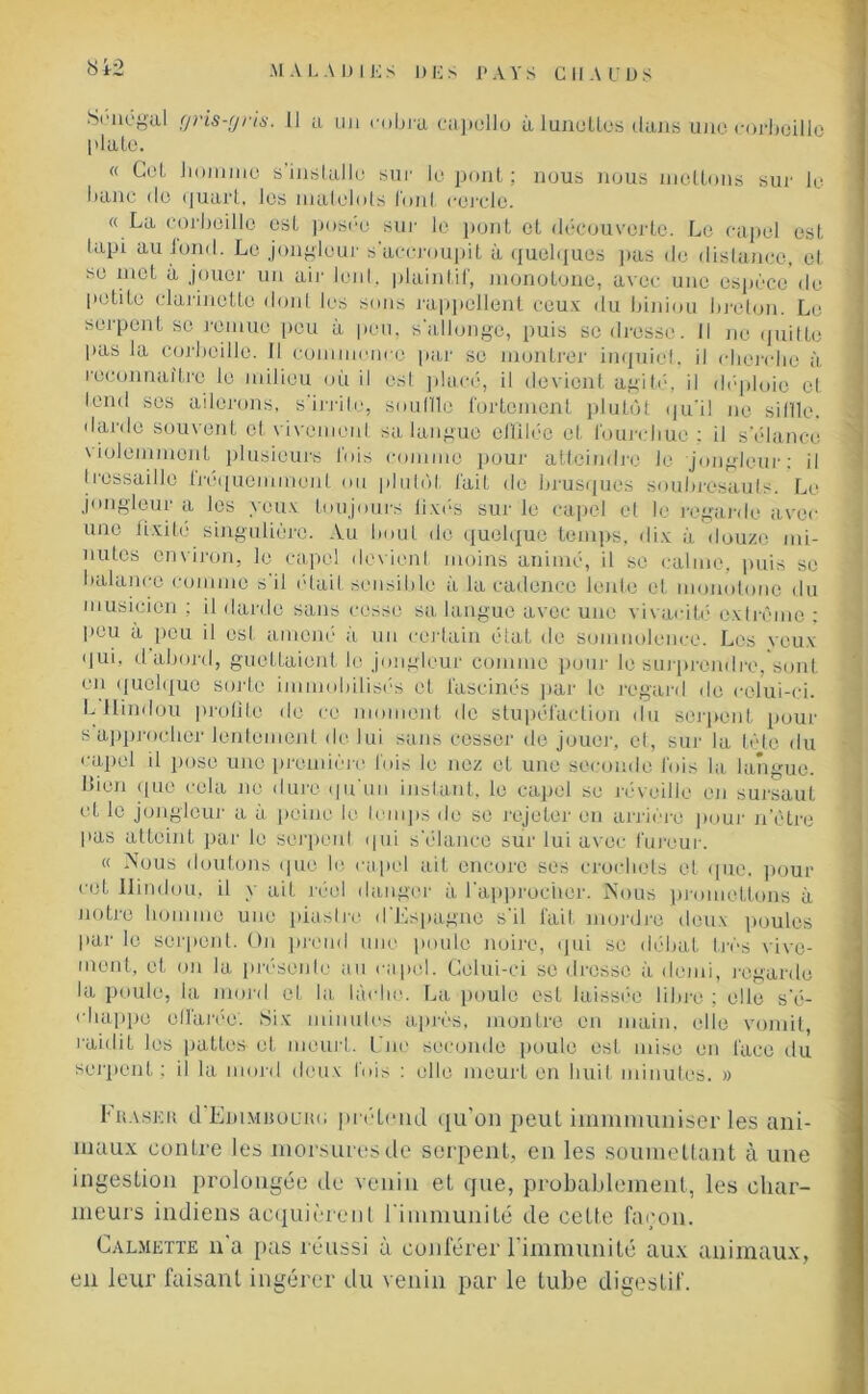 ■Sénégal f/ris-r/rià'. Il a un cobra capollo à lunettes dans une corbeille plate. « Cel, homme s’installe sur le pont; nous nous mettons sur le banc de quart, les matelots l'ont cercle. « La corbeille est posée sur le pont et découverte. Le capel est lapi au ioncl. Le jongleur s'accroupit à quelques pas de distance, et se met à jouer un air lent, plaintif, monotone, avec une espèce de petite clarinette dont les sons rappellent ceux du biniou breton. Le serpent se remue peu à pou, s’allonge, puis se dresse. Il ne quitte pas la corbeille. Il commence par se montrer inquiet, il cherche à reconnaître le milieu où il est placé, il devient agité, il déploie cl tend scs ailerons, s'irrite, souille fortement plutôt qu'il ne si (Ile. darde souvent et vivement sa langue effilée et fourchue ; il s'élance violemment plusieurs fois comme pour atteindre le jongleur: il tressaille Irequemmenl ou plutôt fait de brusques soubresauts. Le jongleur a les yeux toujours lixés sur le capel cl le regarde avec une fixité singulière. Au bout de quelque temps, dix à douze mi- nutes environ, le capel devient moins animé, il se calme, puis se balance comme s'il était sensible à la cadence lente et monotone du musicien ; il darde sans cesse sa langue avec une vivacité extrême : peu a peu il esl amené à un certain état de somnolence. Los veux qui, d abord, guettaient le jongleur comme pour le surprendre, sont en quelque sorte immobilisés et lascinés par le regard de celui-ci. L Hindou proliLo de ce moment de stupéfaction du serpent pour s approcher lentement de lui sans cesser de jouer, et, sur la tète du '•apel il pose une première fois le nez et une seconde fois la langue. Bien que cela ne dure qu'un instant, le capel se réveille en sursaut et le jongleur a à peine le temps de se rejeter en arrière pour n’ôtre pas atteint par le serpent qui s'élance sur lui avec fureur. « Nous doutons que le capel ait encore ses crochets et que. pour cet Hindou, il y ait réel danger à l'approcher. Nous promettons à notre homme une piastre d Lspagne s il fait mordre deux poules par le serpent. On prend une poule noire, (pii se débat très vive- ment, et on la présente au capel. Celui-ci se dresse à demi, regarde la poule, la mord et la, lâche. La poule est laissée libre ; elle s'é- chappe effarée. Six minutes après, montre en main, elle vomit, raidit les pattes et meurt. Lue seconde poule est mise en face du serpent; il la mord deux l'ois : elle meurt en huit minutes. » Phaser d’EniMuouiu; prétend qu’on peut immniuniser les ani- maux contre les morsures de serpent, en les soumettant à une ingestion prolongée de venin et que, probablement, les char- meurs indiens acquièrent l'immunité de cette façon. Calmette n'a pas réussi à conférer l’immunité aux animaux, en leur faisant ingérer du venin par le tube digestif.