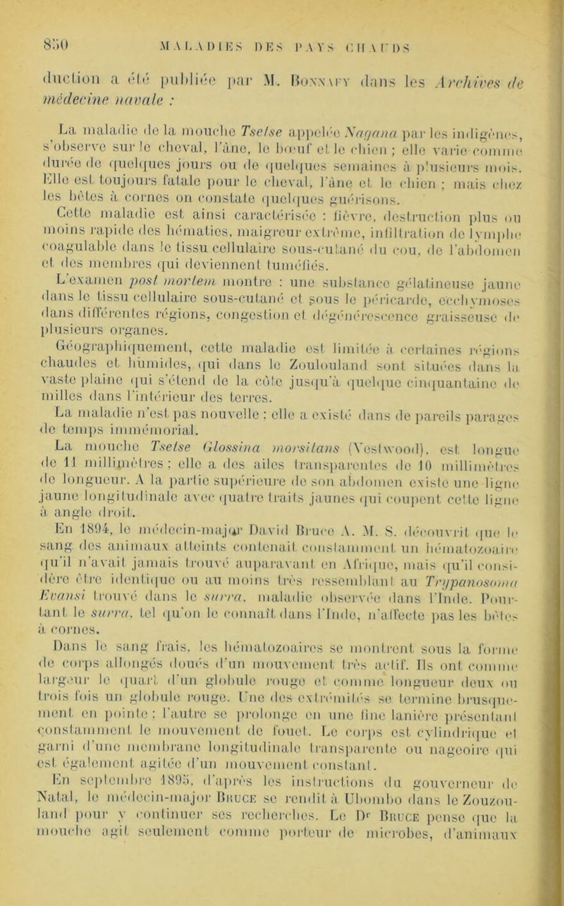 (ludion a (‘le publiée par M. Bonnaky dans les Archives de médecine navale : La maladie de la mouche Tse/se appelée Naç/ana par les indigènes, s obsene sur le cheval, 1 àne, le bocul elle chien ; elle varie comme duree de quelques jours ou de quelques semaines à plusieurs mois, bile est toujours fatale pour le cheval, l une et le chien ; mais chez les botes a cornes on constate quelques guérisons. Cette maladie est ainsi caractérisée : lièvre, destruction plus ou moins rapide des hématies, maigreur extrême, infiltration de lymphe coagulable dans le tissu cellulaire sous-cutane du cou. de l'abdomen et des membres qui deviennent tuméfiés. L examen post moi'le m montre : une substance gélatineuse jaune dans le tissu cellulaire sous-cutané et gous le péricarde, cechvmoses dans différentes régions, congestion et dégénérescence graisseuse de plusieurs organes. Géographiquement, cette maladie est limitée à. certaines régions chaudes et humides, qui dans le Zoulouland sont situées dans lu vaste plaine qui s’étend de la côte jusqu’à quelque cinquantaine do- mines dans l'intérieur des terres. La maladie n’est pas nouvelle ; elle a existé dans de pareils parages de temps immémorial. La mouche Tsetse Glossina movsitans (Yeslwood), est longue de 11 millimètres; elle a des ailes transparentes de 10 millimètres de longueur. A la partie supérieure de son abdomen existe une ligne jaune longitudinale avec quatre traits jaunes qui coupent celte ligne à angle droit. En 1894, le médecin-major David Bruce A. M. S. découvrit que le sang des animaux atteints contenait constamment un hématozoaire qu il n avait jamais trouvé auparavant en Afrique, mais qu’il consi- dère être identique ou au moins très ressemblant au Trypanosome Transi trouvé dans le serra, maladie observée dans l'Inde. Pour- tant le serra, tel qu on le connaît dans l'Inde, m'affecte pas les bêtes à cornes. Dans le sang frais, les hématozoaires se montrent sous la forme de corps allongés doués d'un mouvement très actif. Ils ont coi e largeur le quart d un globule rouge et comme longueur deux ou trois fois un globule rouge. Une des extrémités se termine brusque- ment en pointe; l'autre se prolonge on une fine lanière préscnlanl constamment le mouvement de fouet. Le corps est cylindrique et garni d'une membrane longitudinale transparente ou nageoire qui est également agitée d'un mouvement constant. En septembre I89o, d’après les instructions du gouverneur de Natal, le médecin-major Biîuce sc rendit à Ubombo dans le Zouzou- laml pour y continuer scs recherches. Le Dr Bruce pense (pie la mouche agit seulement comme porteur de microbes, d’animaux