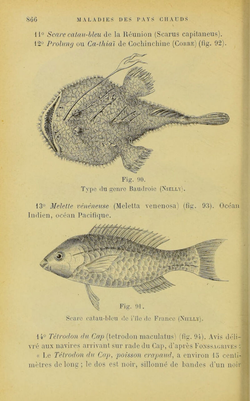 11° Scare catau-bleu de la Réunion (Scarus capitaneus). t2u Prolung ou Ca-lhiaï de Cocliinchine (Coure) (lig. 02). Fig. 00. Type du genre Baudroie (NTel.lv . 13ü Melelle vénéneuse (Meletla venenosa) (fi g. 93). Océan Indien, océan Pacifique. Scare catau-bleu de file do France (Nielly). 14° Tétrodon du Cap (tetrodon maculatus) (fig. 94). Avis déli-* vré aux navires arrivant sur rade du Cap, d’après Coassai,rives : 9 « I.e Télrodon du Cap, poisson crapaud, a environ 15 centi- mètres de long ; le dos est noir, sillonné de bandes d'un noir
