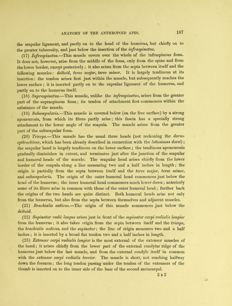 18T the scapular ligament, and partly on to the head of the humerus, but chiefly on to the greater tuberosity, and just below the insertion of the infraspinatus. (17) Infraspinatus.—This muscle covers over the whole of the infraspinous fossa. It does not, however, arise from the middle of the fossa, only from the spine and from the lower border, except posteriorly ; it also arises from the septa between itself and the following muscles: deltoid, teres major, teres minor. It is largely tendinous at its insertion: the tendon arises first just within the muscle, but subsequently reaches the lower surface; it is inserted partly on to the capsular ligament of the humerus, and partly on to the humerus itself. (18) Supraspinatus.—This muscle, unlike the infraspinatus, arises from the greater part of the supraspinous fossa; its tendon of attachment first commences within the substance of the muscle. (19) Subscapularis.—This muscle is covered below (on the free surface) by a strong aponeurosis, from which its fibres partly arise; this fascia has a specially strong attachment to the lower angle of the scapula. The muscle arises from the greater part of the subscapular fossa. (20) Triceps.—This muscle has the usual three heads (not reckoning the dorso- epitroclilear, which has been already described in connection with the latissimus dorsi); the scapular head is largely tendinous on the lower surface ; the tendinous aponeurosis gradually diminishes in extent, and terminates just after the junction of the scapular and humeral heads of the muscle. The scapular head arises chiefly from the lower border of the scapula along a line measuring two and a half inches in length; the origin is partially from the septa between itself and the teres major, teres minor, and subscapularis. The origin of the outer humeral head commences just below the head of the humerus; the inner humeral head commences much lower down ; anteriorly some of its fibres arise in common with those of the outer humeral head; further back the origins of the two heads are quite distinct. Both humeral heads arise not only from the humerus, but also from the septa between themselves and adjacent muscles. (21) Brachialis anticus.—The origin of this muscle commences just below the deltoid. (22) Supinator radii longus arises just in front of the supinator carpi radialis longior from the humerus; it also takes origin from the septa between itself and the triceps, the brachialis anticus, and the supinator; the line of origin measures two and a half inches ; it is inserted by a broad flat tendon two and a half inches in length. (23) Extensor carpi radialis longior is the most external of the extensor muscles of the hand; it arises chiefly from the lower part of the external condylar ridge of the humerus just below the last muscle, and from the external condyle itself in common with the extensor carpi radialis brevior. The muscle is short, not reaching halfway down the forearm; the long tendon passing under the tendon of the extensors of the thumb is inserted on to the inner side of the base of the second metacarpal. 2 e 2