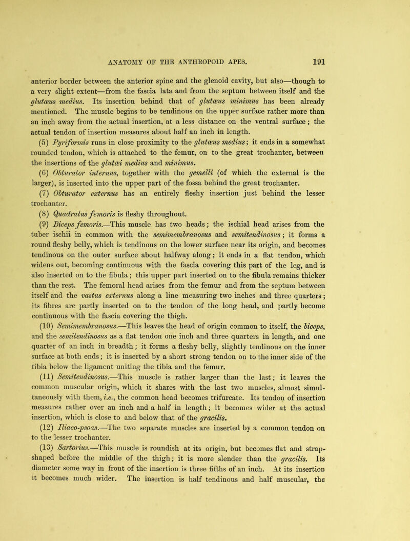 anterior border between the anterior spine and the glenoid cavity, but also—though to a very slight extent—from the fascia lata and from the septum between itself and the glutceus medius. Its insertion behind that of glut (Bits minimus has been already mentioned. The muscle begins to be tendinous on the upper surface rather more than an inch away from the actual insertion, at a less distance on the ventral surface; the actual tendon of insertion measures about half an inch in length. (5) Pyriformis runs in close proximity to the glutceus medius; it ends in a somewhat rounded tendon, which is attached to the femur, on to the great trochanter, between the insertions of the glutcei medius and minimus. (6) Obturator internus, together with the gemelli (of which the external is the larger), is inserted into the upper part of the fossa behind the great trochanter. (7) Obturator externus has an entirely fleshy insertion just behind the lesser trochanter. (8) Quadratus femoris is fleshy throughout. (9) Biceps femoris This muscle has two heads; the ischial head arises from the tuber ischii in common with the semimembranosus and semitendinosus; it forms a round fleshy belly, which is tendinous on the lower surface near its origin, and becomes tendinous on the outer surface about halfway along; it ends in a flat tendon, which widens out, becoming continuous with the fascia covering this part of the leg, and is also inserted on to the fibula; this upper part inserted on to the fibula remains thicker than the rest. The femoral head arises from the femur and from the septum between itself and the vastus externus along a line measuring two inches and three quarters; its fibres are partly inserted on to the tendon of the long head, and partly become continuous with the fascia covering the thigh. (10) Semimembranosus.—This leaves the head of origin common to itself, the biceps, and the semitendinosus as a flat tendon one inch and three quarters in length, and one quarter of an inch in breadth; it forms a fleshy belly, slightly tendinous on the inner surface at both ends; it is inserted by a short strong tendon on to the inner side of the tibia below the ligament uniting the tibia and the femur. (11) Semitendinosus.—This muscle is rather larger than the last; it leaves the common muscular origin, which it shares with the last two muscles, almost simul- taneously with them, i.e., the common head becomes trifurcate. Its tendon of insertion measures rather over an inch and a half in length; it becomes wider at the actual insertion, which is close to and below that of the gracilis. (12) Iliaco-psoas.—The two separate muscles are inserted by a common tendon on to the lesser trochanter. (13) Sartorius.—This muscle is roundish at its origin, but becomes flat and strap- shaped before the middle of the thigh; it is more slender than the gracilis. Its diameter some way in front of the insertion is three fifths of an inch. At its insertion it becomes much wider. The insertion is half tendinous and half muscular, the