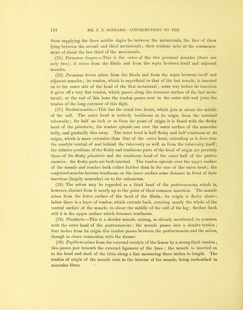 those supplying the three middle digits lie between the metatarsals, the first of them lying between the second and third metatarsals ; their tendons arise at the commence- ment of about the last third of the metatarsals. (25) Peronceus longus.—This is the outer of the two peroneal muscles (there are only two); it arises from the fibula and from the septa between itself and adjacent muscles. (26) Peronceus brevis arises from the fibula and from the septa between itself and adjacent muscles; its tendon, which is superficial to that of the last muscle, is inserted on to the outer side of the head of the first metatarsal; some way before its insertion it gives off a very fine tendon, which passes along the extensor surface of the last meta- tarsal; at the end of this bone the tendon passes over to the outer side and joins the tendon of the long extensor of this digit. (27) Gastrocnemius.—This has the usual two heads, which join at about the middle of the calf. The outer head is entirely tendinous at its origin from the external tuberosity; for half an inch or so from the point of origin it is fused with the fleshy head of the plantaris; the tendon spreads out over the outer surface of the muscular belly, and gradually dies away. The inner head is half fleshy and half tendinous at its origin, which is more extensive than that of the outer head, extending as it does over the condyle ventral of and behind the tuberosity as well as from the tuberosity itself; the relative positions of the fleshy and tendinous parts of the head of origin are precisely those of the fleshy plantaris and the tendinous head of the outer half of the gastro- cnemius ; the fleshy parts are both internal. The tendon spreads over the upper surface of the muscle and reaches back rather further than in the case of the outer head; the conjoined muscles become tendinous on the inner surface some distance in front of their insertion (largely muscular) on to the calcaneum. (28) The soleus may be regarded as a third head of the gastrocnemius, which is, however, distinct from it nearly up to the point of their common insertion. The muscle arises from the lower surface of the head of the fibula; its origin is fleshy above; below there is a layer of tendon, which extends back, covering nearly the whole of the ventral surface of the muscle, to about the middle of the calf of the leg; further back still it is the upper surface which becomes tendinous. (29) Plantaris.—This is a slender muscle, arising, as already mentioned, in common with the outer head of the gastrocnemius ; the muscle passes into a slender tendon; four inches from its origin this tendon passes between the gastrocnemius and the soleus, though in closer connection with the former. (30) Popliteus arises from the external condyle of the femur by a strong thick tendon ; this passes just beneath the external ligament of the knee ; the muscle is inserted on to the head and shaft of the tibia along a line measuring three inches in length. The tendon of origin of the muscle ends in the interior of the muscle, being ensheathed in muscular fibres.