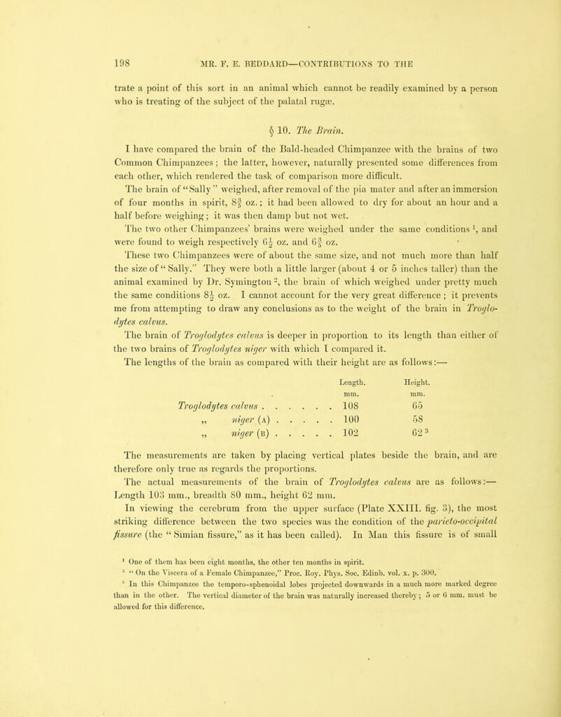 trate a point of this sort in an animal which cannot be readily examined by a person who is treating of the subject of the palatal rugae. § 10. The Brain. I have compared the brain of the Bald-headed Chimpanzee with the brains of two Common Chimpanzees; the latter, however, naturally presented some differences from each other, which rendered the task of comparison more difficult. The brain of “Sally” weighed, after removal of the pia mater and after an immersion of four months in spirit, 8§ oz.; it had been allowed to dry for about an hour and a half before weighing; it was then damp but not wet. The two other Chimpanzees’ brains were weighed under the same conditions], and were found to weigh respectively 6|- oz. and 6f oz. These two Chimpanzees were of about the same size, and not much more than half the size of “ Sally.” They were both a little larger (about 4 or 5 inches taller) than the animal examined by Dr. Symington 1 2, the brain of which weighed under pretty much the same conditions 8^ oz. I cannot account for the very great difference ; it prevents me from attempting to draw any conclusions as to the weight of the brain in Troglo- dytes cahus. The brain of Troglodytes calvus is deeper in proportion to its length than either of the two brains of Troglodytes niger with which 1 compared it. The lengths of the brain as compared with their height are as follows:— Length. Height. mm. mm. Troglodytes calvus . . . ... 108 65 „ niger (a) . ... 100 58 „ niger (b) . ... 102 62 3 The measurements are taken by placing vertical plates beside the brain, and are therefore only true as regards the proportions. The actual measurements of the brain of Troglodytes calms are as follows:— Length 103 mm., breadth 80 mm., height 62 mm. In viewing the cerebrum from the upper surface (Plate XXIII. fig. 3), the most striking difference between the two species was the condition of the parieto-occipital fissure (the “ Simian fissure,” as it has been called). In Man this fissure is of small 1 One of them has been eight months, the other ten months in spirit. 2 “ On tho Viscera of a Female Chimpanzee,” Proc. Roy. Phys. Soc. Edinb. vol. x. p. 300. 3 In this Chimpanzee the temporo-sphenoidal lobes projected downwards in a much more marked degree than in the other. Tho vertical diameter of the brain was naturally increased thereby; 5 or 0 mm. must be allowed for this difference.