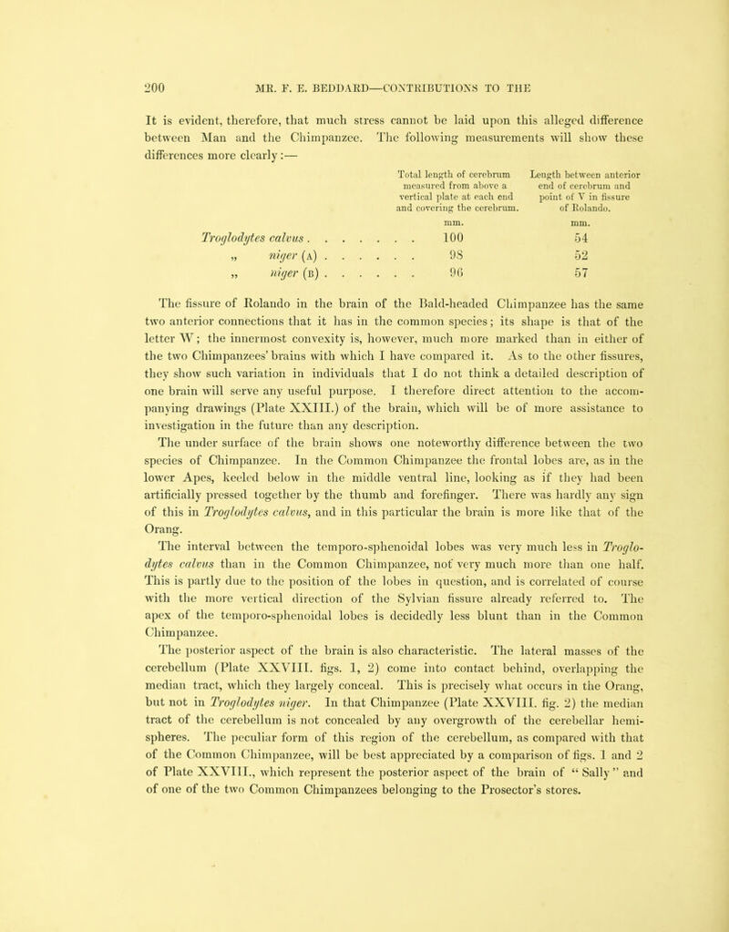 It is evident, therefore, that much stress cannot be laid upon this alleged difference between Man and the Chimpanzee. The following measurements will show these differences more clearly :— Total length of cerebrum measured from above a vertical plate at each eud and covering the cerebrum. Length between anterior end of cerebrum and point of Y in fissure of Eolando. mm. mm. Troglodytes calvus. . . .... 100 54 „ niger (a) . . .... 98 52 „ niger (b) . . .... 96 57 The fissure of Rolando in the brain of the Bald-headed Chimpanzee has the same two anterior connections that it has in the common species; its shape is that of the letter W; the innermost convexity is, however, much more marked than in either of the two Chimpanzees’brains with which I have compared it. As to the other fissures, they show such variation in individuals that I do not think a detailed description of one brain will serve any useful purpose. I therefore direct attention to the accom- panying drawings (Plate XXIII.) of the brain, which will be of more assistance to investigation in the future than any description. The under surface of the brain shows one noteworthy difference between the two species of Chimpanzee. In the Common Chimpanzee the frontal lobes are, as in the lower Apes, keeled below in the middle ventral line, looking as if they had been artificially pressed together by the thumb and forefinger. There was hardly any sign of this in Troglodytes calvus, and in this particular the brain is more like that of the Orang. The interval between the temporo-sphenoidal lobes was very much less in Troglo- dytes calms than in the Common Chimpanzee, not’ very much more than one half. This is partly due to the position of the lobes in question, and is correlated of course with the more vertical direction of the Sylvian fissure already referred to. The apex of the temporo-sphenoidal lobes is decidedly less blunt than in the Common Chimpanzee. The posterior aspect of the brain is also characteristic. The lateral masses of the cerebellum (Plate XXVIII. figs. 1, 2) come into contact behind, overlapping the median tract, which they largely conceal. This is precisely what occurs in the Orang, but not in Troglodytes niger. In that Chimpanzee (Plate XXVIII. fig. 2) the median tract of the cerebellum is not concealed by any overgrowth of the cerebellar hemi- spheres. The peculiar form of this region of the cerebellum, as compared with that of the Common Chimpanzee, will be best appreciated by a comparison of figs. 1 and 2 of Plate XXVIII., which represent the posterior aspect of the brain of “ Sally ” and of one of the two Common Chimpanzees belonging to the Prosector’s stores.