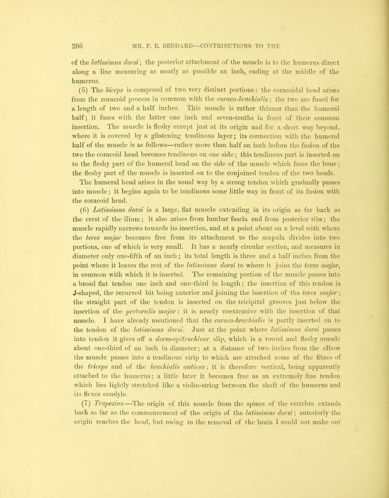 of the latissimus dorsi', the posterior attachment of the muscle is to the humerus direct along a line measuring as nearly as possible an inch, ending at the middle of the humerus. (5) The biceps is composed of two very distinct portions: the coracoidal head arises from the coracoid process in common with the coraco-brachialis; the two are fused for a length of two and a half inches. This muscle is rather thinner than the humeral half; it fuses with the latter one inch and seven-tenths in front of their common insertion. The muscle is fleshy except just at its origin and for a short way beyond, where it is covered by a glistening tendinous layer; its connection with the humeral half of the muscle is as follows—rather more than half an inch before the fusion of the two the coracoid head becomes tendinous on one side ; this tendinous part is inserted on to the fleshy part of the humeral head on the side of the muscle which faces the bone; the fleshy part of the muscle is inserted on to the conjoined tendon of the two heads. The humeral head arises in the usual way by a strong tendon which gradually passes into muscle; it begins again to be tendinous some little way in front of its fusion with the coracoid head. (6) Latissimus dorsi is a large, flat muscle extending in its origin as far back as the crest of the ilium; it also arises from lumbar fascia and from posterior ribs; the muscle rapidly narrows towards its insertion, and at a point about on a level with where the teres major becomes free from its attachment to the scapula divides into two portions, one of which is very small. It has a nearly circular section, and measures in diameter only one-fifth of ail inch; its total length is three and a half inches from the point where it leaves the rest of the latissimus dorsi to where it joins the teres major, in common with which it is inserted. The remaining portion of the muscle passes into a broad flat tendon one inch and one-third in length; the insertion of this tendon is J-shaped, the recurved bit being anterior and joining the insertion of the teres major ; the straight part of the tendon is inserted on the tricipital grooves just below the insertion of the pectorcdis major: it is nearly coextensive with the insertion of that muscle. I have already mentioned that the coraco-brachialis is partly inserted on to the tendon of the latissimus dorsi. Just at the point where latissimus dorsi passes into tendon it gives off a dorso-epitrochlear slip, which is a round and fleshy muscle about one-third of an inch in diameter; at a distance of two inches from the elbow the muscle passes into a tendinous strip to which are attached some of the fibres of the triceps and of the brachialis cmticus; it is therefore vertical, being apparently attached to the humerus; a little later it becomes free as an extremely fine tendon which lies lightly stretched like a violin-string between the shaft of the humerus and its flexor condyle. (7) Trapezius.—The origin of this muscle from the spines of the vertebra extends back as far as the commencement of the origin of the latissimus dorsi; anteriorly the origin reaches the head, but owing to the removal of the brain I could not make oirt