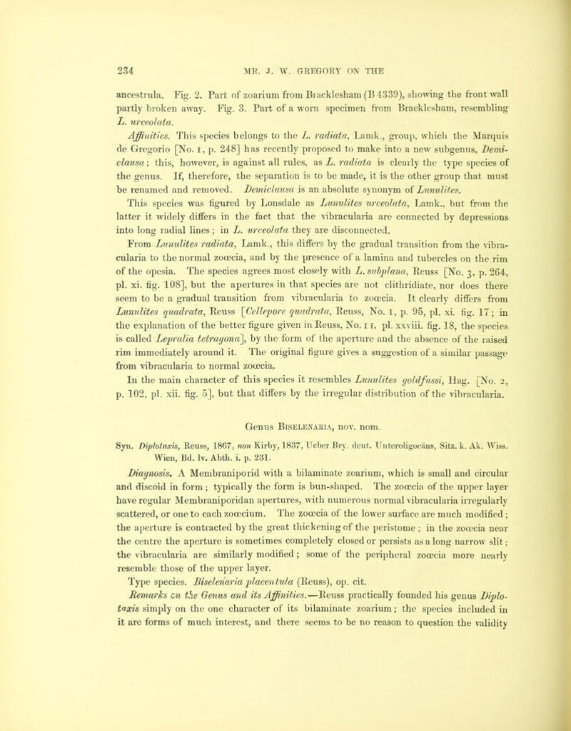 ancestrula. Fig. 2. Part of zoarium from Bracklesham (B 4339), showing the front wall partly broken away. Fig. 3. Part of a worn specimen from Bracklesham, resembling- L. urceolata. Affinities. This species belongs to the L. radiata, Lamk., group, which the Marquis de Gregorio [No. i, p. 248] has recently proposed to make into a new subgenus, Demi- clausa; this, however, is against all rules, as L. radiata is clearly the type species of the genus. If, therefore, the separation is to be made, it is the other group that must be renamed and removed. Demiclausa is an absolute synonym of Lunulites. This species was figured by Lonsdale as Lunulites urceolata, Lamk., but from the latter it widely differs in the fact that the vibracularia are connected by depressions into long radial lines; in L. urceolata they are disconnected. From Lunulites radiata, Lamk., this differs by the gradual transition from the vibra- cularia to the normal zocecia, and by the presence of a lamina and tubercles on the rim of the opesia. The species agrees most closely with L. subplana, Reuss [No. 3, p. 264, pi. xi. fig. 108], but the apertures in that species are not clithridiate, nor does there seem to be a gradual transition from vibracularia to zocecia. It clearly differs from Lunulites quadrata, Reuss [Cellepore quadrata, Reuss, No. 1, p. 95, pi. xi. fig. IT; in the explanation of the better figure given in Reuss, No. 11, pi. xxviii. fig. 18, the species is called Lepralia tetragona], by the form of the aperture and the absence of the raised rim immediately around it. The original figure gives a suggestion of a similar passage from vibracularia to normal zocecia. In the main character of this species it resembles Lunulites goldfussi. Hag. [No. 2, p. 102, pi. xii. fig. 5], but that differs by the irregular distribution of the vibracularia. Genus Biselenakia, nov. nom. Syn. Diplotaxis, Reuss, 1867, non Kirby, 1837, Ueber Bry. deut. Unteroligocans, Sitz. k. Ak. Wiss. Wien, Bd. lv. Abtb. i. p. 231. Diagnosis. A Membraniporid with a bilaminate zoarium, which is small and circular and discoid in form ; typically the form is bun-shaped. The zocecia of the upper layer have regular Membraniporidan apertures, with numerous normal vibracularia irregularly scattered, or one to each zocecium. The zooecia of the lower surface are much modified ; the aperture is contracted by the great thickening of the peristome ; in the zooecia near the centre the aperture is sometimes completely closed or persists as a long narrow slit; the vibracularia are similarly modified ; some of the peripheral zooecia more nearly resemble those of the upper layer. Type species. Biselenaria placentufa (Reuss), op. cit. Remarks cn the Genus and its Affinities.—Reuss practically founded his genus Diplo- taxis simply on the one character of its bilaminate zoarium; the species included in it are forms of much interest, and there seems to be no reason to question the validity