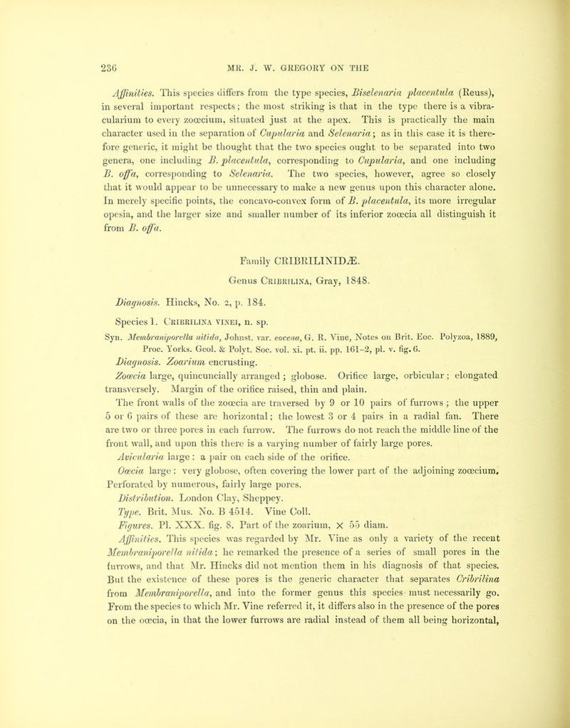 Affinities. This species differs from the type species, Biselenaria placentula (Reuss), in several important respects; the most striking is that in the type there is a vibra- cularium to every zooecium, situated just at the apex. This is practically the main character used in the separation of Cupularia and Selenaria; as in this case it is there- fore generic, it might be thought that the two species ought to be separated into two genera, one including B. placentula, corresponding to Cupularia, and one including B. off'a, corresponding to Selenaria. The two species, however, agree so closely that it would appear to be unnecessary to make a new genus upon this character alone. In merely specific points, the concavo-convex form of B. placentula, its more irregular opesia, and the larger size and smaller number of its inferior zocecia all distinguish it from B. off'a. Family CRIBRILINID.E. Genus Cribrilina, Gray, 1848. Diagnosis. Hincks, No. a, p. 184. Species 1. Cribrilina vinei, n. sp. Syn. Membraniporella nitida, Jolmst. var. eocena, G. R. Vine, Notes on Brit. Eoc. Polyzoa, 1889, Proc. Yorks. Geol. & Polyt. Soc. vol. xi. pt. ii. pp. 161-2, pi. v. fig. 6. Diagnosis. Zoarium encrusting. Zooecia large, quincuncially arranged ; globose. Orifice large, orbicular ; elongated transversely. Margin of the orifice raised, thin and plain. The front walls of the zooecia are traversed by 9 or 10 pairs of furrows ; the upper 5 or 6 pairs of these are horizontal; the lowest 3 or 4 pairs in a radial fan. There are two or three pores in each furrow. The furrows do not reach the middle line of the front wall, and upon this there is a varying number of fairly large pores. Avicularia large : a pair on each side of the orifice. Ocecia large : very globose, often covering the lower part of the adjoining zooecium. Perforated by numerous, fairly large pores. Distribution. London Clay, Sheppey. Type. Brit. Mus. No. B 4514. Vine Coll. Figures. PI. XXX. fig. 8. Part of the zoarium, X 55 diam. Affinities. This species was regarded by Mr. Vine as only a variety of the recent Membraniporella nitida; he remarked the presence of a series of small pores in the furrows, and that Mr. Hincks did not mention them in his diagnosis of that species. But the existence of these pores is the generic character that separates Cribrilina from Membraniporella, and into the former genus this species must necessarily go. From the species to which Mr. Vine referred it, it differs also in the presence of the pores on the ooecia, in that the lower furrows are radial instead of them all being horizontal,