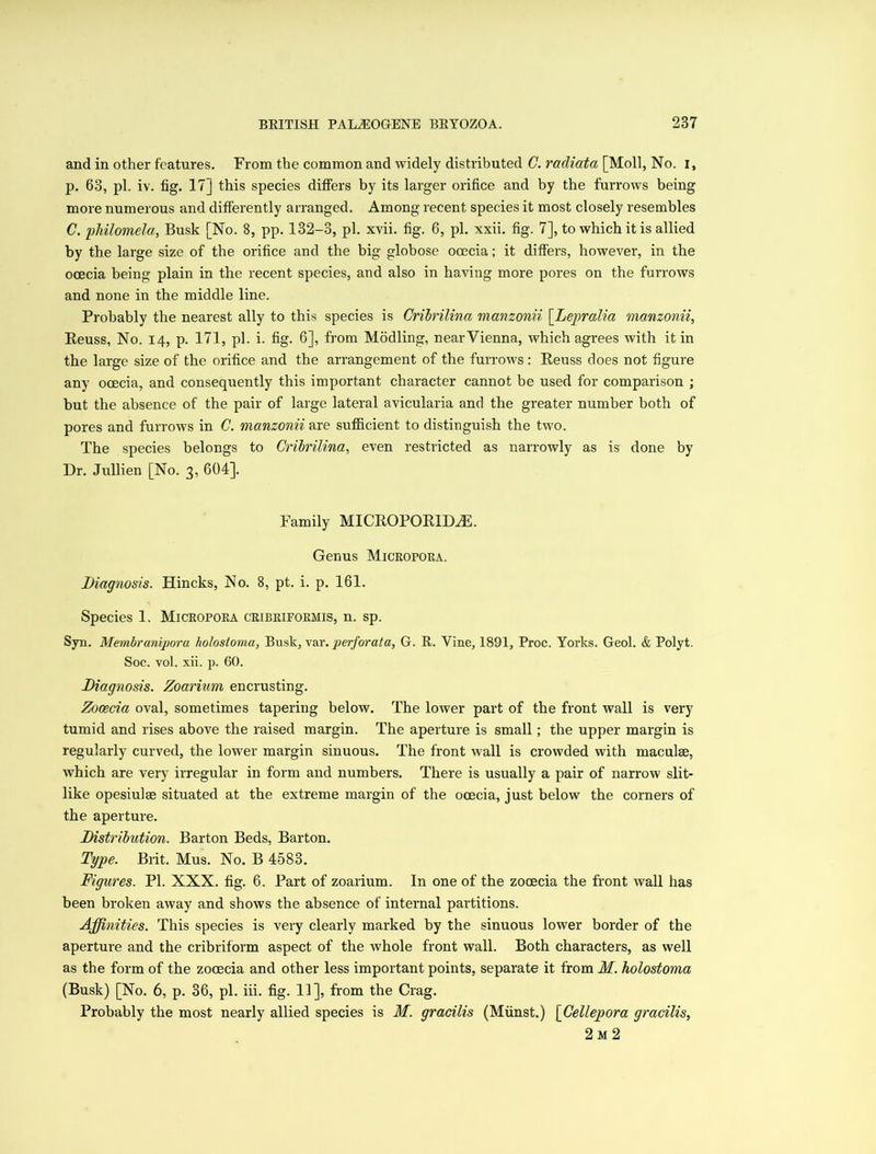 and in other features. From the common and widely distributed C. 7'acliata [Moll, No. i, p. 63, pi. iv. fig. 17] this species differs by its larger orifice and by the furrows being more numerous and differently arranged. Among recent species it most closely resembles C. philomela, Busk [No. 8, pp. 132-3, pi. xvii. fig. 6, pi. xxii. fig. 7], to which it is allied by the large size of the orifice and the big globose ocecia; it differs, however, in the ooecia being plain in the recent species, and also in having more pores on the furrows and none in the middle line. Probably the nearest ally to this species is Cribrilina manzonii \Lepralia manzonii, Reuss, No. 14, p. 171, pi. i. fig. 6], from Modling, nearVienna, which agrees with it in the large size of the orifice and the arrangement of the furrows: Reuss does not figure any ocecia, and consequently this important character cannot be used for comparison ; but the absence of the pair of large lateral avicularia and the greater number both of pores and furrows in C. manzonii are sufficient to distinguish the two. The species belongs to Cribrilina, even restricted as narrowly as is done by Dr. Jullien [No. 3, 604]. Family MICROPORHXE. Genus Micropora. Diagnosis. Hincks, No. 8, pt. i. p. 161. Species 1. Micropora cribriformis, n. sp. Syn. Membranipora holostoma, Busk, var. perforata, G. R. Vine, 1891, Proc, Yorks. Geol. & Polyt. Soc. vol. xii. p. 60. Diagnosis. Zoarium encrusting. Zooecia oval, sometimes tapering below. The lower part of the front wall is very tumid and rises above the raised margin. The aperture is small; the upper margin is regularly curved, the lower margin sinuous. The front wall is crowded with maculae, which are very irregular in form and numbers. There is usually a pair of narrow slit- like opesiulae situated at the extreme margin of the ocecia, just below the corners of the aperture. Distribution. Barton Beds, Barton. Type. Brit. Mus. No. B 4583. Figures. PI. XXX. fig. 6. Part of zoarium. In one of the zooecia the front wall has been broken away and shows the absence of internal partitions. Affinities. This species is very clearly marked by the sinuous lower border of the aperture and the cribriform aspect of the whole front wall. Both characters, as well as the form of the zooecia and other less important points, separate it from M. holostoma (Busk) [No. 6, p. 36, pi. iii. fig. 11], from the Crag. Probably the most nearly allied species is M. gracilis (Miinst.) [Cellepora gracilis, 2 m 2