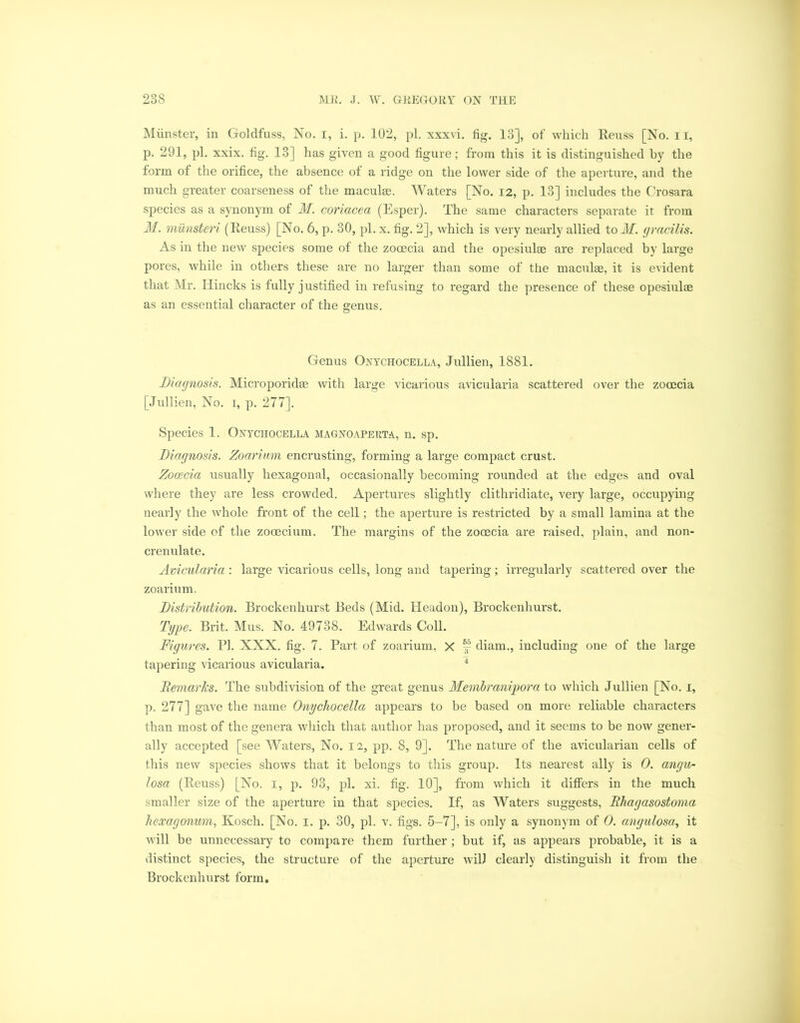 Munster, in Goldfuss, No. I, i. p. 102, pi. xxxvi. fig. 13], of which Reuss [No. 11, p. 291, pi. xxix. fig. 13] has given a good figure; from this it is distinguished by the form of the orifice, the absence of a ridge on the lower side of the aperture, and the much greater coarseness of the maculse. Waters [No. 12, p. 13] includes the Crosara species as a synonym of M. coriacea (Esper). The same characters separate it from M. munsteri (Reuss) [No. 6, p. 30, pi. x. fig. 2], which is very nearly allied to M. gracilis. As in the new species some of the zooecia and the opesiulae are replaced by large pores, while in others these are no larger than some of the maculae, it is evident that Mr. Hincks is fully justified in refusing to regard the presence of these opesiulae as an essential character of the genus. Genus Onychocella, Jullien, 1881. Diagnosis. Microporidae with large vicarious avicularia scattered over the zooecia [Jullien, No. i, p. 277]. Species 1. Onychocella magnoapeeta, n. sp. Diagnosis. Zoarium encrusting, forming a large compact crust. Zooecia usually hexagonal, occasionally becoming rounded at the edges and oval where they are less crowded. Apertures slightly clithridiate, very large, occupying nearly the whole front of the cell; the aperture is restricted by a small lamina at the lower side of the zooecium. The margins of the zooecia are raised, plain, and non- crenulate. Avicularia : large vicarious cells, long and tapering; irregularly scattered over the zoarium. Distribution. Brockenhurst Beds (Mid. Headon), Brockenhurst. Type. Brit. Mus. No. 49738. Edwards Coll. Figures. PI. NXX. fig. 7. Part of zoarium, X “ diam., including one of the large tapering vicarious avicularia. 4 Remarks. The subdivision of the great genus Membranijpora to which Jullien [No. i, p. 277] gave the name Onychocella appears to be based on more reliable characters than most of the genera which that author has proposed, and it seems to be now gener- ally accepted [see Waters, No. 12, pp. 8, 9]. The nature of the avicularian cells of this new species shows that it belongs to this group. Its nearest ally is 0. angu- losa (Reuss) [No. 1, p. 93, pi. xi. fig. 10], from which it differs in the much smaller size of the aperture in that species. If, as Waters suggests, Rhagasostoma hexagonum, Kosch. [No. 1. p. 30, pi. v. figs. 5-7], is only a synonym of 0. angulosa, it will be unnecessary to compare them further ; but if, as appears probable, it is a distinct species, the structure of the aperture will clearly distinguish it from the Brockenhurst form.