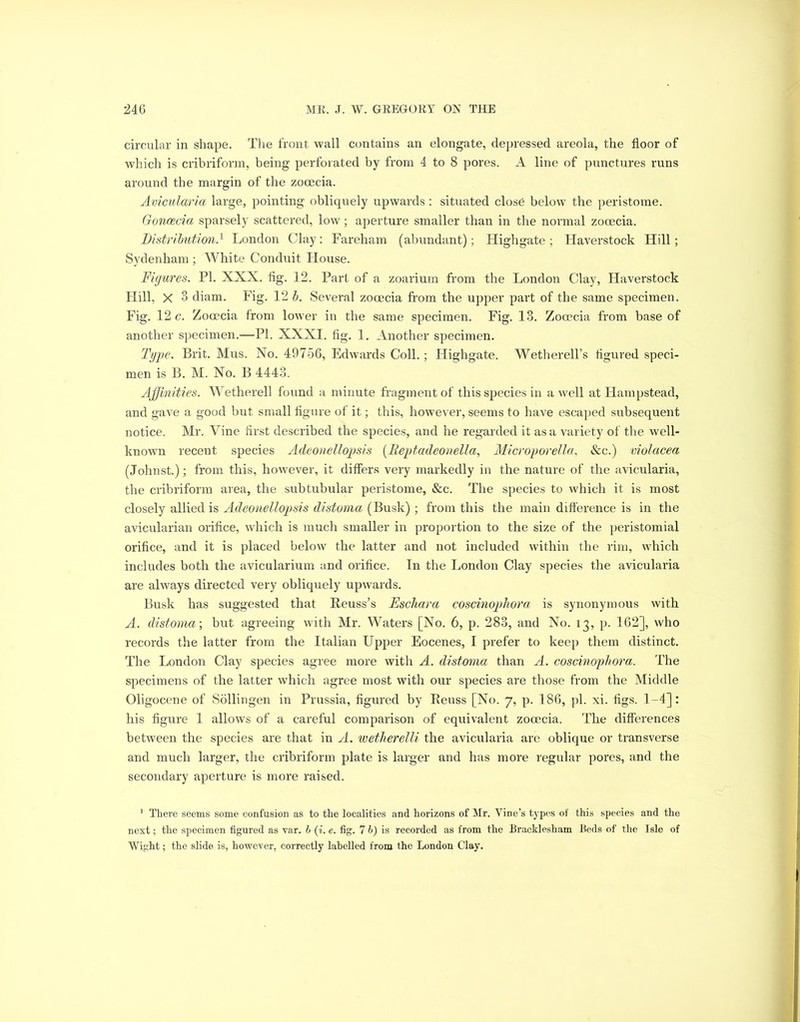 circular in shape. The front wall contains an elongate, depressed areola, the floor of which is cribriform, being perforated by from 4 to 8 pores. A line of punctures runs around the margin of the zocecia. Avicularia large, pointing obliquely upwards : situated close below7 the peristome. Goncecia sparsely scattered, low; aperture smaller than in the normal zocecia. Distribution.1 London Clay: Fareham (abundant); High gate; Haverstock Hill; Sydenham ; White Conduit House. Figures. PI. XXX. fig. 12. Part of a zoarium from the London Clay, Haverstock Hill, X 3 diam. Fig. 12 b. Several zooecia from the upper part of the same specimen. Fig. 12 c. Zooecia from lower in the same specimen. Fig. 13. Zocecia from base of another specimen.—PI. XXXI. fig. 1. Another specimen. Type. Brit. Mus. No. 49756, Edwards Coll.; Ilighgate. Wetherell’s figured speci- men is B. M. No. B 4443. Affinities. Wetherell found a minute fragment of this species in a well at Hampstead, and gave a good but small figure of it; this, however, seems to have escaped subsequent notice. Mr. Vine first described the species, and he regarded it as a variety of the w7ell- known recent species Adeonellopsis (Reptadeonella, Microporella, See.) violacea (Johnst.); from this, however, it differs very markedly in the nature of the avicularia, the cribriform area, the subtubular peristome, &c. The species to which it is most closely allied is Adeonellojpsis distoma (Busk); from this the main difference is in the avicularian orifice, which is much smaller in proportion to the size of the peristomial orifice, and it is placed below the latter and not included within the rim, which includes both the avicularium and orifice. In the London Clay species the avicularia are always directed very obliquely upwards. Busk has suggested that Reuss’s Eschara coscinoffinora is synonymous with A. distoma’, but agreeing with Mr. Waters [No. 6, p. 283, and No. 13, p. 162], who records the latter from the Italian Upper Eocenes, I prefer to keep them distinct. The London Clay species agree more with A. distoma than A. coscinophora. The specimens of the latter which agree most with our species are those from the Middle Oligocene of Sollingen in Prussia, figured by Reuss [No. 7, p. 186, pi. xi. figs. 1-4]: his figure 1 allows of a careful comparison of equivalent zooecia. The differences between the species are that in A. wetherelli the avicularia are oblique or transverse and much larger, the cribriform plate is larger and has more regular pores, and the secondary aperture is more raised. 1 There seems some confusion as to the localities and horizons of Mr. Vine’s types of this species and the next; the specimen figured as var. b (i. e. fig. 7 b) is recorded as from the Bracklesham Beds of the Isle of Wight; the slide is, however, correctly labelled from the London Clay.
