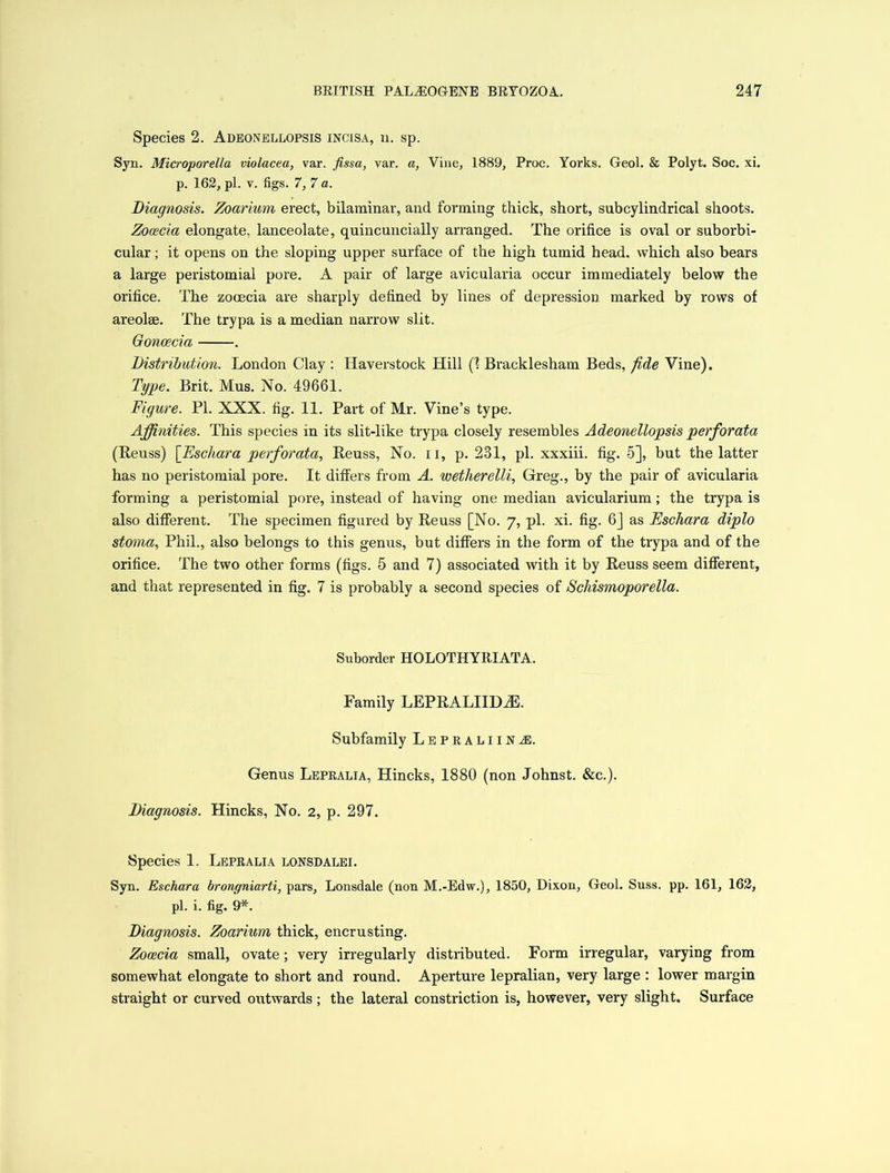 Species 2. Adeonellopsis incisa, u. sp. Syn. Microporella violacea, var. fissa, var. a, Vine, 1889, Proc. Yorks. Geol. & Polyt. Soc. xi. p. 162, pi. v. figs. 7, 7 a. Diagnosis. Zoarium erect, bilaminar, and forming thick, short, subcylindrical shoots. Zocecia elongate, lanceolate, quincuncially arranged. The orifice is oval or suborbi- cular; it opens on the sloping upper surface of the high tumid head, which also bears a large peristomial pore. A pair of large avicularia occur immediately below the orifice. The zocecia are sharply defined by lines of depression marked by rows of areolae. The trypa is a median narrow slit. Gonoecia . Distribution. London Clay : Haverstock Hill (1 Bracklesham Beds, fide Vine). Type. Brit. Mus. No. 49661. Figure. PL XXX. fig. 11. Part of Mr. Vine’s type. Affinities. This species in its slit-like trypa closely resembles Adeonellopsis perforata (Reuss) [Eschara perforata, Reuss, No. n, p. 231, pi. xxxiii. fig. 5], but the latter has no peristomial pore. It differs from A. wetherelli, Greg., by the pair of avicularia forming a peristomial pore, instead of having one median avicularium; the trypa is also different. The specimen figured by Reuss [No. 7, pi. xi. fig. 6] as Eschara diplo stoma, Phil., also belongs to this genus, but differs in the form of the trypa and of the orifice. The two other forms (figs. 5 and 7) associated with it by Reuss seem different, and that represented in fig. 7 is probably a second species of Schismoporella. Suborder HOLOTHYRIATA. Family LEPRALIIDiE. Subfamily Lepealiinx Genus Lepralia, Hincks, 1880 (non Johnst. &c.). Diagnosis. Hincks, No. 2, p. 297. Species 1. Lepralia lonsdalei. Syn. Eschara brongniarti, pars, Lonsdale (non M.-Edw.), 1850, Dixon, Geol. Suss. pp. 161, 162, pi. i. fig. 9*. Diagnosis. Zoarium thick, encrusting. Zocecia small, ovate; very irregularly distributed. Form irregular, varying from somewhat elongate to short and round. Aperture lepralian, very large : lower margin straight or curved outwards; the lateral constriction is, however, very slight. Surface