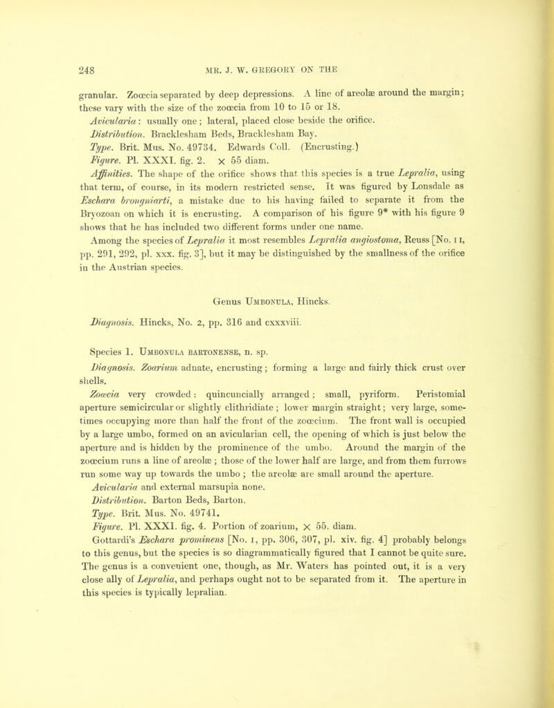 granular. Zocecia separated by deep depressions. A line of areolae around the margin; these vary with the size of the zocecia from 10 to 15 or 18. Avicularia: usually one; lateral, placed close beside the orifice. Distribution. Bracklesham Beds, Bracklesham Bay. Type. Brit. Mus. No. 49734. Edwards Coll. (Encrusting.) Figure. PL XXXI. fig. 2. x 55 diam. Affinities. The shape of the orifice shows that this species is a true Lepralia, using that term, of course, in its modern restricted sense. It was figured by Lonsdale as Eschara brongniarti, a mistake due to his having failed to separate it from the Bryozoan on which it is encrusting. A comparison of his figure 9* with his figure 9 shows that he has included two different forms under one name. Among the species of Eepralia it most resembles Lepralia angiostoma, Reuss [No. 11, pp. 291, 292, pi. xxx. fig. 3], but it may be distinguished by the smallness of the orifice in the Austrian species. Genus Umbonula, Hincks. Diagnosis. Hincks, No. 2, pp. 316 and cxxxviii Species 1. Umbonula bartonense, n. sp. Diagnosis. Zoarium adnate, encrusting; forming a large and fairly thick crust over shells. Zocecia very crowded : quincuncially arranged; small, pyriform. Peristomial aperture semicircular or slightly clithridiate ; lower margin straight; very large, some- times occupying more than half the front of the zocecium. The front wall is occupied by a large umbo, formed on an avicularian cell, the opening of which is just below the aperture and is hidden by the prominence of the umbo. Around the margin of the zocecium runs a line of areolae ; those of the lower half are large, and from them furrows run some way up towards the umbo ; the areolae are small around the aperture. Avicularia and external marsupia none. Distribution. Barton Beds, Barton. Type. Brit. Mus. No. 49741. Figure. PI. XXXI. fig. 4. Portion of zoarium, X 55. diam. Gottardi’s Eschara prominens [No. i, pp. 306, 307, pi. xiv. fig. 4] probably belongs to this genus, but the species is so diagrammatically figured that I cannot be quite sure. The genus is a convenient one, though, as Mr. Waters has pointed out, it is a very close ally oi Lepralia, and perhaps ought not to be separated from it. The aperture in this species is typically lepralian.