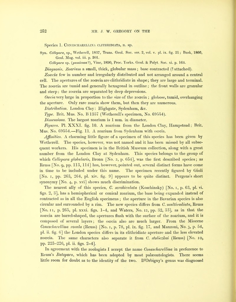 Species 1. Conescharellina clithridiata, n. sp. Syn. Cellepora, sp., Wetherell, 1837, Trans. Geol. Soc. ser. 2, vol. v. pi. ix. fig. 21; Busk, 1866, Geol. Mag. vol. iii. p. 301. Cellepora sp. (pumicosa?), Vine, 1890, Proc. Yorks. Geol. & Polyt. Soc. xi. p. 164. Diagnosis. Zoarivm a small, thick, globular mass ; base contracted (1 attached). Zocecia few in number and irregularly distributed and not arranged around a central cell. The apertures of the zooecia are clithridiate in shape; they are lai’ge and terminal. The zooecia are tumid and generally hexagonal in outline; the front walls are granular and steep; the zooecia are separated by deep depressions. Ocecia very large in proportion to the size of the zooecia ; globose, tumid, overhanging the aperture. Only rare zoaria show them, but then they are numerous. Distribution. London Clay: Highgate, Sydenham, &c. Type. Brit. Mus. No. B 1357 (Wetherell’s specimen, No. 69554). Dimensions. The largest zoarium is 1 mm. in diameter. Figures. PI. XXXI. fig. 10. A zoarium from the London Clay, Hampstead; Brit. Mus. No. 69554.—Fig. 11. A zoarium from Sydenham with ocecia. Affinities. A charming little figure of a specimen of this species has been given by Wetherell. The species, however, was not named and it has been missed by all subse- quent workers. His specimen is in the British Museum collection, along with a great number from the London Clay at Sydenham. This species belongs to the group of which Cellepora glohularis, Bronn [No. 2, p. 654], was the first described species; as Reuss [No. 9, pp. 113, 114] has, however, pointed out, several distinct forms have come in time to be included under this name. The specimen recently figured by Gioli [No. 1, pp. 263, 264, pi. xiv. fig. 9] appears to be quite distinct. Pergens’s short synonymy [No. 4, p. xvi] shows much discrimination. The nearest ally of this species, C. scrobiculata (Koschinsky) [No. 1, p. 63, pi. vi. figs. 2, 3], has a hemispherical or conical zoarium, the base being expanded instead of contracted as in all the English specimens ; the aperture in the Bavarian species is also circular and surrounded by a rim. The new species differs from C. multiradiata, Reuss [No. 11, p. 265, pi. xxxi. figs. 1-4, and Waters, No. 12, pp. 32, 33], as in that the zocecia are barrel-shaped, the apertures flush with the surface of the zoarium, and it is composed of several layers; the ocecia also are much larger. From the Miocene Conescharellina rosula (Reuss) [No. 1, p. 78, pi. ix. fig. 17, and Manzoni, No. 3, p. 54, pi. ii. fig. 6] the London species differs in its clithridiate aperture and the less elevated zooecia. The same characters also separate it from C. stoliczkai (Reuss) [No. 10, pp. 223-226, pi. ii. figs. 2-4]. In agreement with the zoologists I accept the name Conescharellina in preference to Reuss’s Datopora, which has been adopted by most palaeontologists. There seems little room for doubt as to the identity of the two. D’Orbigny’s genus was diagnosed