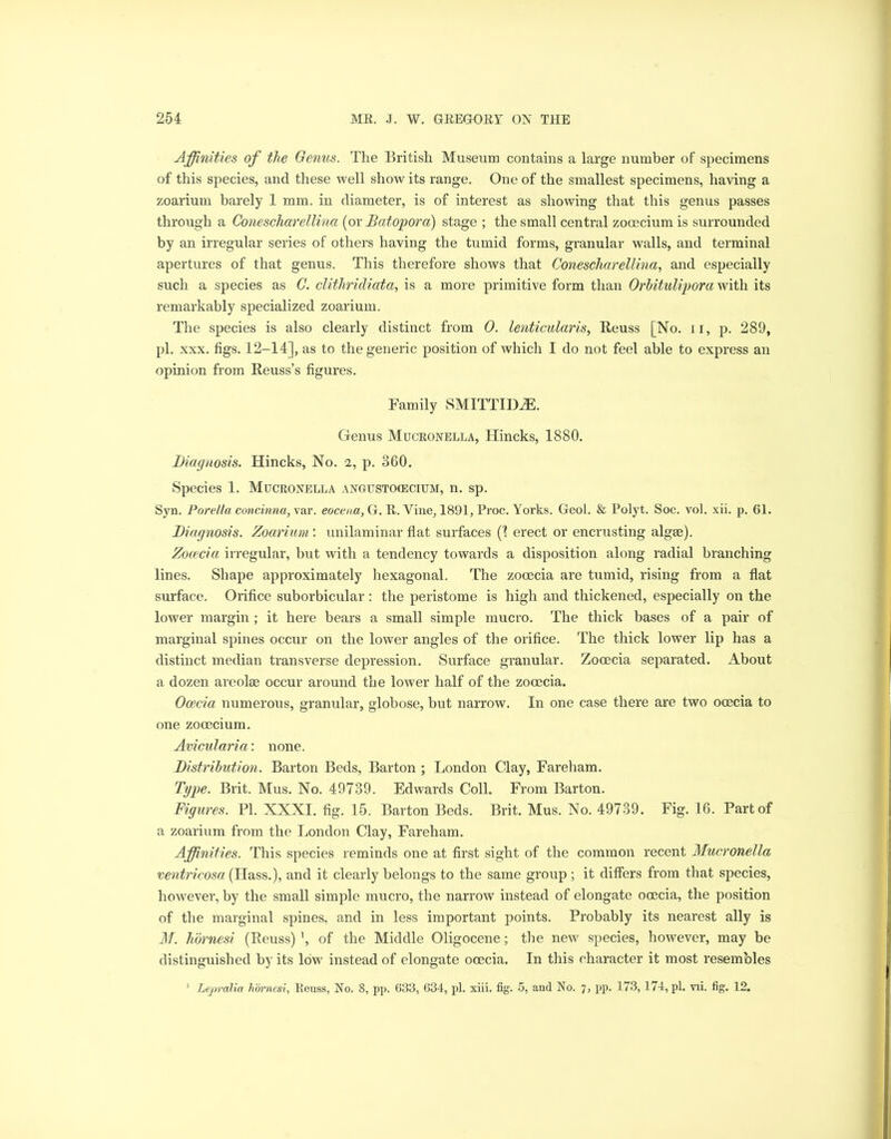 Affinities of the Genus. The British Museum contains a large number of specimens of this species, and these well show its range. One of the smallest specimens, having a zoarium barely 1 mm. in diameter, is of interest as showing that this genus passes through a Conescharellina (or Bat op or a) stage ; the small central zocecium is surrounded by an irregular series of others having the tumid forms, granular walls, and terminal apertures of that genus. This therefore shows that Conescharellina, and especially such a species as C. clithridiata, is a more primitive form than Orbitulipora with its remarkably specialized zoarium. The species is also clearly distinct from 0. lenticularis, Reuss [No. 11, p. 289, pi. xxx. figs. 12-14], as to the generic position of which I do not feel able to express an opinion from Reuss’s figures. Family SMITTIDiE. Genus Mucronella, Hincks, 1880. Diagnosis. Hincks, No. 2, p. 360. Species 1. Mucronella angusto(ecium, n. sp. Syn. Porella concinna, var. eocena, G. E. Vine, 1891, Proc. Yorks. Geol. & Polyt. Soc. vol. xii. p. 61. Diagnosis. Zoarium: unilaminar flat surfaces (1 erect or encrusting algae). Zocecia irregular, but with a tendency towards a disposition along radial branching lines. Shape approximately hexagonal. The zocecia are tumid, rising from a flat surface. Orifice suborbicular : the peristome is high and thickened, especially on the lower margin; it here bears a small simple mucro. The thick bases of a pair of marginal spines occur on the lower angles of the orifice. The thick lower lip has a distinct median transverse depression. Surface granular. Zooecia separated. About a dozen areolse occur around the lower half of the zocecia. Ocecia numerous, granular, globose, but narrow. In one case there are two ocecia to one zooecium. Avicularia: none. Distribution. Barton Beds, Barton ; London Clay, Fareham. Type. Brit. Mus. No. 49739. Edwards Coll. From Barton. Figures. PI. XXXI. fig. 15. Barton Beds. Brit. Mus. No. 49739. Fig. 16. Part of a zoarium from the London Clay, Fareham. Affinities. This species reminds one at first sight of the common recent Mucronella ventricosa (Hass.), and it clearly belongs to the same group ; it differs from that species, however, by the small simple mucro, the narrow instead of elongate ooecia, the position of the marginal spines, and in less important points. Probably its nearest ally is M. hornesi (Reuss) \ of the Middle Oligocene; the new species, however, may be distinguished by its low instead of elongate ocecia. In this character it most resembles 1 Lepralia hornesi, Reuss, No. 8, pp. 633, 634, pi. xiii. fig. 5, and No. 7, pp. 173, 174, pi. vii. fig. 12.