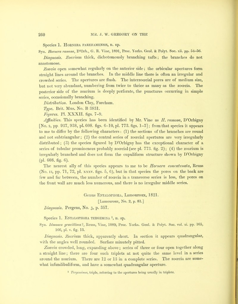 Species 1. Hornera farehamensis, n. sp. Sjn. Hornera ramosa, D’Orb., G. R. Vine, 1891, Proe. Yorks. Geol. & Polyt. Soc. xii. pp. 54-56. Diagnosis. Zoarium thick, dichotomously branching tufts; the branches do not anastomose. Zooecia open somewhat regularly on the anterior side; the orbicular apertures form straight lines around the branches. In the middle line there is often an irregular and crowded series. The apertures are flush. The interzooecial pores are of medium size, but not very abundant, numbering from twice to thrice as many as the zooecia. The posterior side of the zoarium is deeply perforate, the punctures occurring in simple series, occasionally branching. Distribution. London Clay, Fareham. Type. Brit. Mus. No. B 3831. Figures. PI. XXXII. figs. 7-9. Affinities. This species has been identified by Mr. Vine as //. ramosa, D’Orbigny [No. 2, pp, 937, 938, pi. 608. figs. 6-10, pi. 773. figs. 1-3] ; from that species it appears to me to differ by the following characters: (1) the sections of the branches are round and not sub triangular; (2) the central series of zocecial apertures are very irregularly distributed; (3) the species figured by D’Orbigny has the exceptional character of a series of tubular prominences probably zocecial (see pi. 773. fig. 2); (4) the zoarium is irregularly branched and does not form the cupuliform structure shown by D’Orbigny (pi. 608. fig. 6). The nearest ally of this species appears to me to be Hornera concatenata, Reuss (No. ii, pp. 71, 72, pi. xxxv. figs. 5, 6), but in that species the pores on the back are few and far between, the number of zocecia in a transverse series is less, the pores on the front wall are much less numerous, and there is no irregular middle series. Genus Entalophora, Lamouroux, 1821. [Lamouroux, No. 2, p. 81.] Diagnosis. Pergens, No. 3, p. 357. Species 1. Entalophora tergemina x, n. sp. Syn. Idmonea gracillima ?, Reuss, Vine, 1889, Proc. Yorks. Geol. & Polyt. Soc. vol. xi. pp. 165, 166, pi. v. fig. 13. Diagnosis. Zoarium thick, apparently short. In section it appears quadrangular, with the angles well rounded. Surface minutely pitted. Zooecia crowded, long, expanding above; series of three or four open together along a straight line; there are four such triplets at not quite the same level in a series around the zoarium. There are 12 or 13 in a complete series. The zooecia are some- what infundibuliform, and have a somewhat quadrangular aperture. 1 Tergeminus, triple, referring to the apertures being usually in triplets.