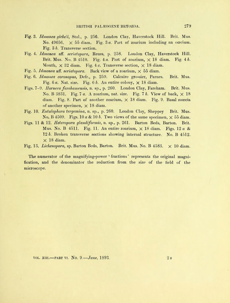 Fig. 3. Tdmonea giebeli, Stol., p. 256. London Clay, Haverstock Hill. Brit. Mus. No. 49656. X 55 diam. Fig. 3 a. Part of zoarium including an ooecium. Fig. 3 b. Transverse section. Fig. 4. Idmonea aff. seriatopora, Reuss, p. 258. London Clay, Haverstock Hill. Brit. Mas. No. B 4510. Fig. 4 a. Part of zoarium, X 18 diam. Fig. 4 b. Mouth, x 32 diam. Fig. 4 c. Transverse section, X 18 diam. Fig. 5. Idmonea aff. seriatopora. Back view of a zoarium, X 55 diam. Fig. 6. Idmonea coronopus, Hefr., p. 259. Calcaire grossier, Parnes. Brit. Mus. Fig. 6 a. Nat. size. Fig. 6 b. An entire colony, x 18 diam. Figs. 7-9. Hornera farehamensis, n. sp., p. 260. London Clay, Fareham. Brit. Mus. No. B 3831. Fig. 7 a. A zoarium, nat. size. Fig. 7 b. View of back, X 18 diam. Fig. 8. Part of another zoarium, X 18 diam. Fig. 9. Basal zooecia of another specimen, X 18 diam. Fig. 10. Entalophora tergemina, n. sp., p. 260. London Clay, Sheppey Brit. Mus. No. B 4509. Figs. 10 a & 10 b. Two views of the same specimen, X 55 diam. Figs. 11 & 12. Heteropora glandifonnis, n. sp., p. 261. Barton Beds, Barton. Brit. Mus. No. B 4511. Fig. 11. An entire zoarium, X 18 diam. Figs. 12 a & 12 b. Broken transverse sections showing internal structure. No. B 4512. X 18 diam. Fig. 13. Liehenopora, sp. Barton Beds, Barton. Brit. Mus. No. B 4583. x 10 diam. The numerator of the magnifying-power ‘ fractions ’ represents the original magni- fication, and the denominator the reduction from the size of the field of the microscope.