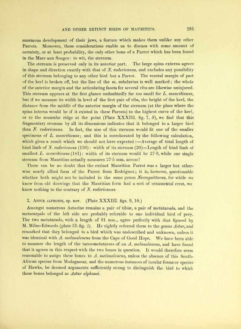 enormous development of their jaws, a feature which makes them unlike any other Parrots. Moreover, these considerations enable us to discuss with some amount of certainty, or at least probability, the only other bone of a Parrot which has been found in the Mare aux Songes: to wit, the sternum. The sternum is preserved only in its anterior part. The large spina externa agrees in shape and direction exactly-with that of W. rodericanus, and excludes any possibility of this sternum belonging to any other bird but a Parrot. The ventral margin of part of the keel is broken off, but the line of the m. subclavius is well marked; the whole of the anterior margin and the articulating facets for several ribs are likewise uninjured. This sternum appears at the first glance undoubtedly far too small for L. mauritianus, but if we measure its width in level of the first pair of ribs, the height of the keel, the distance from the middle of the anterior margin of the sternum (at the place where the spina interna would be if it existed in these Parrots) to the highest curve of the keel, or to the muscular ridge at the point (Plate XXXIII. fig. 7, S), we find that this fragmentary sternum by all its dimensions indicates that it belonged to a larger bird than N. rodericanus. In fact, the size of this sternum would fit one of the smaller specimens of L. mauritianus-, and this is corroborated by the following calculation, which gives a result which we should not have expected :—Average of total length of hind limb of N. rodericanus (130): width of its sternum (20) = Length of hind limb of smallest L. mauritianus (181): width of its sternum would be 27-8, while our single sternum from Mauritius actually measures 27'5 mm. across! There can be no doubt that the extinct Mauritian Parrot was a larger but other- wise nearly allied form of the Parrot from Rodriguez ; it is, however, questionable whether both might not be included in the same genus Necropsittacus, for while we know from old drawings that the Mauritian form had a sort of ornamental crest, we know nothing to the contrary of N. rodericanus. 2. Astur alphonsi, sp. nov. (Plate XXXIII. figs. 9, 10.) Amongst numerous Asturine remains a pair of tibiae, a pair of metatarsals, and the metacarpals of the left side are probably referable to one individual bird of prey. The two metatarsals, with a length of 81 mm., agree perfectly with that figured by M. Milne-Edwards (plate 33. fig. 2). He rightly referred them to the genus Astur, and remarked that they belonged to a bird which was undescribed and unknown, unless it was identical with A. melanoleucus from the Cape of Good Hope. We have been able to measure the length of the tarso-metatarsus of an A. melanoleucus, and have found that it agrees in this respect with the two bones in question. It would therefore seem reasonable to assign these bones to A. melanoleucus, unless the absence of this South- African species from Madagascar, and the numerous instances of insular forms or species of Hawks, be deemed arguments sufficiently strong to distinguish the bird to which these bones belonged as Astur alphonsi.