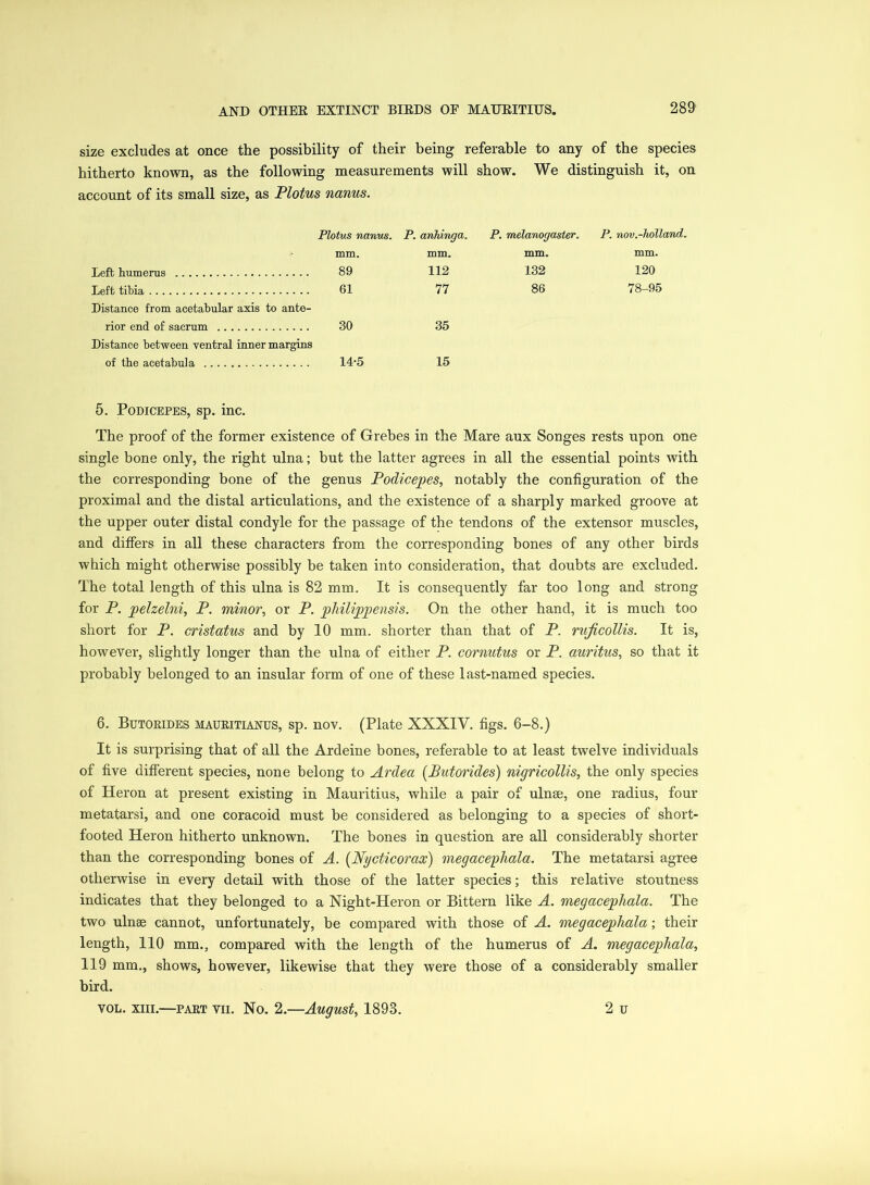 size excludes at once the possibility of their being referable to any of the species hitherto known, as the following measurements will show. We distinguish it, on account of its small size, as Plotus nanus. Plotus nanus. P. anhinga. P. melanogaster. P. nov.-holland. mm. mm. mm. mm. Left humerus 89 112 132 120 Left tibia Distance from acetabular axis to ante- 61 77 86 78-95 rior end of sacrum 30 35 Distance between ventral inner margins of the acetabula 14-5 15 5. Podicepes, sp. inc. The proof of the former existence of Grebes in the Mare aux Songes rests upon one single bone only, the right ulna; but the latter agrees in all the essential points with the corresponding bone of the genus Podicepes, notably the configuration of the proximal and the distal articulations, and the existence of a sharply marked groove at the upper outer distal condyle for the passage of the tendons of the extensor muscles, and differs in all these characters from the corresponding bones of any other birds which might otherwise possibly be taken into consideration, that doubts are excluded. The total length of this ulna is 82 mm. It is consequently far too long and strong for P. pelzelni, P. minor, or P. philippensis. On the other hand, it is much too short for P. cristatus and by 10 mm. shorter than that of P. rujicollis. It is, however, slightly longer than the ulna of either P. cornutus or P. auritus, so that it probably belonged to an insular form of one of these last-named species. 6. Butorides mauritianus, sp. nov. (Plate XXXIV. figs. 6-8.) It is surprising that of all the Ardeine bones, referable to at least twelve individuals of five different species, none belong to Ardea (Butorides) nigricollis, the only species of Heron at present existing in Mauritius, while a pair of ulnae, one radius, four metatarsi, and one coracoid must be considered as belonging to a species of short- footed Heron hitherto unknown. The bones in question are all considerably shorter than the corresponding bones of A. (Nycticorax) megacephala. The metatarsi agree otherwise in every detail with those of the latter species; this relative stoutness indicates that they belonged to a Night-Heron or Bittern like A. megacephala. The two ulnse cannot, unfortunately, be compared with those of A. megacephala; their length, 110 mm., compared with the length of the humerus of A. megacephala, 119 mm., shows, however, likewise that they were those of a considerably smaller bird. vol. xiii.—part vii. No. 2.—August, 1893. 2 u