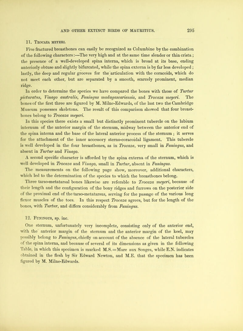 11. Trocaza meyeri. Five fractured breastbones can easily be recognized as Columbine by the combination of the following characters:—The very high and at the same time slender or thin crista ; the presence of a well-developed spina interna, which is broad at its base, ending anteriorly obtuse and slightly bifurcated, while the spina externa is by far less developed ; lastly, the deep and regular grooves for the articulation with the coracoids, which do not meet each other, but are separated by a smooth, scarcely prominent, median ridge. In order to determine the species we have compared the bones with those of Turtur joicturatus, Vinago australis, Funingus madagascariensis, and Trocaza meyeri. The bones of the first three are figured by M. Milne-Edwards, of the last two the Cambridge Museum possesses skeletons. The result of this comparison showed that four breast- bones belong to Trocaza meyeri. In this species there exists a small but distinctly prominent tubercle on the labium internum of the anterior margin of the sternum, midway between the anterior end of the spina interna and the base of the lateral anterior process of the sternum ; it serves for the attachment of the inner accessory sterno-coracoidal ligament. This tubercle is well developed in the four breastbones, as in Trocaza, very small in Funingus, and absent in Turtur and Vinago. A second specific character is afforded by the spina externa of the sternum, which is well developed in Trocaza and Vinago, small in Turtur, absent in Funingus. The measurements on the following page show, moreover, additional characters, which led to the determination of the species to which the breastbones belong. Three tarso-metatarsal bones likewise are referable to Trocaza meyeri, because of their length and the configuration of the bony ridges and furrows on the posterior side of the proximal end of the tarso-metatarsus, serving for the passage of the various long flexor muscles of the toes. In this respect Trocaza agrees, but for the length of the bones, with Turtur, and differs considerably from Funingus. 12. Funingus, sp. inc. One sternum, unfortunately very incomplete, consisting only of the anterior end, with the anterior margin of the sternum and the anterior margin of the keel, may possibly belong to Funingus, chiefly on account of the absence of the lateral tubercles of the spina interna, and because of several of its dimensions as given in the following Table, in which this specimen is marked M.S.=Mare aux Songes, while E.N. indicates obtained in the flesh by Sir Edward Newton, and M.E. that the specimen has been figured by M. Milne-Edwards.