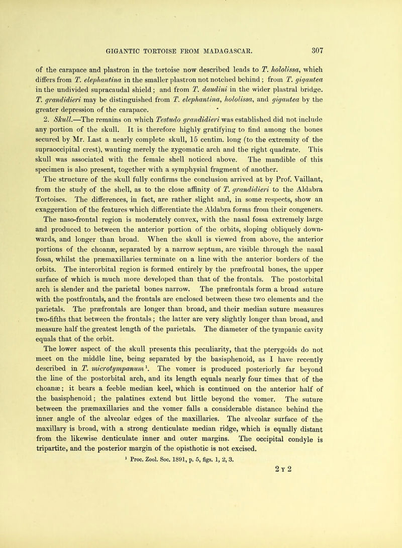 of the carapace and plastron in the tortoise now described leads to T. hololissa, which differs from T. elephantina in the smaller plastron not notched behind ; from T. gig ant ea in the undivided supracaudal shield; and from T. daudini in the wider plastral bridge. T. grandidieri may be distinguished from T. elephantina, hololissa, and gigantea by the greater depression of the carapace. 2. Skull.—The remains on which Testudo grandidieri was established did not include any portion of the skull. It is therefore highly gratifying to find among the bones secured by Mr. Last a nearly complete skull, 15 centim. long (to the extremity of the supraoccipital crest), wanting merely the zygomatic arch and the right quadrate. This skull was associated with the female shell noticed above. The mandible of this specimen is also present, together with a symphysial fragment of another. The structure of the skull fully confirms the conclusion arrived at by Prof. Vaillant, from the study of the shell, as to the close affinity of T. grandidieri to the Aldabra Tortoises. The differences, in fact, are rather slight and, in some respects, show an exaggeration of the features which differentiate the Aldabra forms from their congeners. The naso-frontal region is moderately convex, with the nasal fossa extremely large and produced to between the anterior portion of the orbits, sloping obliquely down- wards, and longer than broad. When the skull is viewed from above, the anterior portions of the choanae, separated by a narrow septum, are visible through the nasal fossa, whilst the prsemaxillaries terminate on a line with the anterior borders of the orbits. The interorbital region is formed entirely by the praefrontal bones, the upper surface of which is much more developed than that of the frontals. The postorbital arch is slender and the parietal bones narrow. The praefrontals form a broad suture with the postfrontals, and the frontals are enclosed between these two elements and the parietals. The preefrontals are longer than broad, and their median suture measures two-fifths that between the frontals; the latter are very slightly longer than broad, and measure half the greatest length of the parietals. The diameter of the tympanic cavity equals that of the orbit. The lower aspect of the skull presents this peculiarity, that the pterygoids do not meet on the middle line, being separated by the basisphenoid, as I have recently described in T. microtympanum1. The vomer is produced posteriorly far beyond the line of the postorbital arch, and its length equals nearly four times that of the choange; it bears a feeble median keel, which is continued on the anterior half of the basisphenoid; the palatines extend but little beyond the vomer. The suture between the prsemaxillaries and the vomer falls a considerable distance behind the inner angle of the alveolar edges of the maxillaries. The alveolar surface of the maxillary is broad, with a strong denticulate median ridge, which is equally distant from the likewise denticulate inner and outer margins. The occipital condyle is tripartite, and the posterior margin of the opisthotic is not excised. 1 Proc. Zool. Soc. 1891, p. 5, figs. 1, 2, 3. 2 t 2