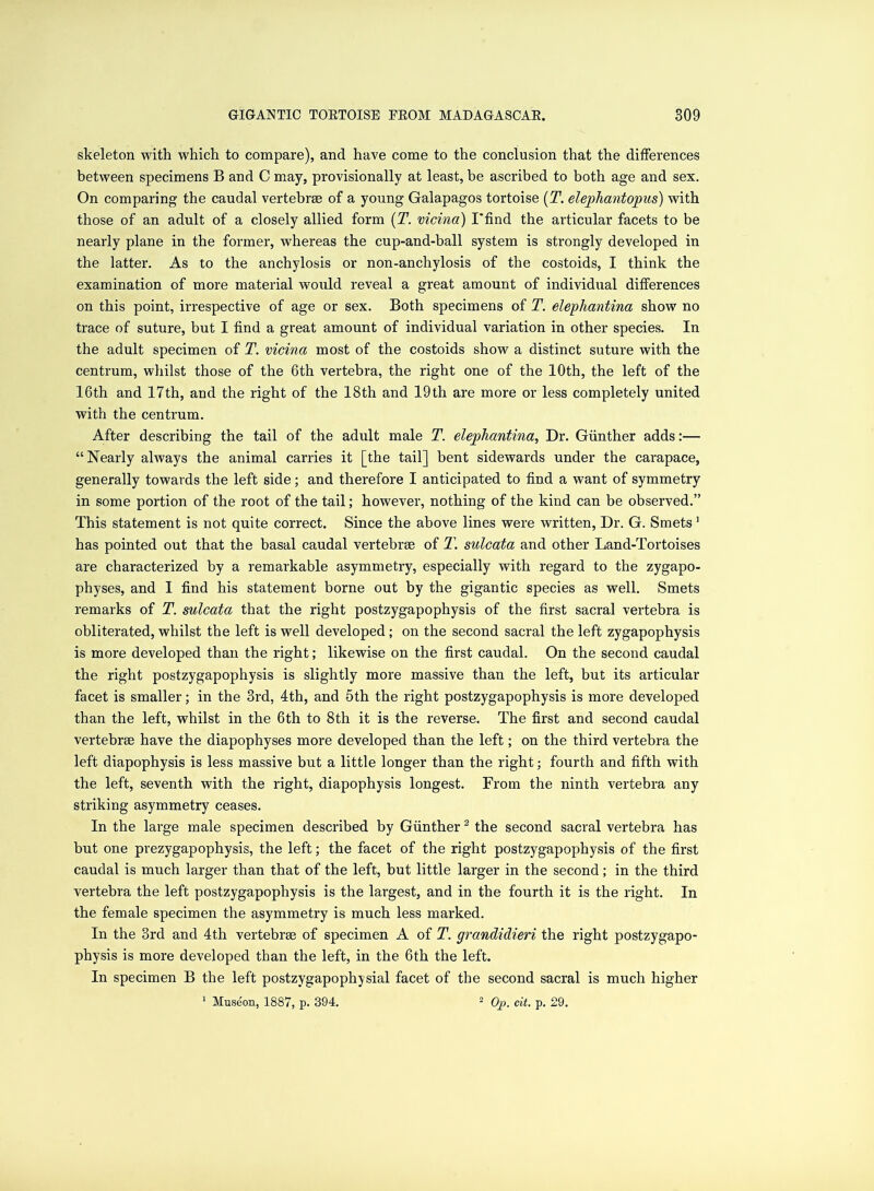 skeleton with which to compare), and have come to the conclusion that the differences between specimens B and C may, provisionally at least, be ascribed to both age and sex. On comparing the caudal vertebrae of a young Galapagos tortoise (T. elephantopus) with those of an adult of a closely allied form (T. vicina) 1‘find the articular facets to be nearly plane in the former, whereas the cup-and-ball system is strongly developed in the latter. As to the anchylosis or non-anchylosis of the costoids, I think the examination of more material would reveal a great amount of individual differences on this point, irrespective of age or sex. Both specimens of T. elephantina show no trace of suture, but I find a great amount of individual variation in other species. In the adult specimen of T. vicina most of the costoids show a distinct suture with the centrum, whilst those of the 6th vertebra, the right one of the 10th, the left of the 16th and 17th, and the right of the 18th and 19th are more or less completely united with the centrum. After describing the tail of the adult male T. elephantina, Dr. Gunther adds:— “Nearly always the animal carries it [the tail] bent sidewards under the carapace, generally towards the left side; and therefore I anticipated to find a want of symmetry in some portion of the root of the tail; however, nothing of the kind can be observed.” This statement is not quite correct. Since the above lines were written, Dr. G. Smets1 has pointed out that the basal caudal vertebrae of T. sulcata and other Land-Tortoises are characterized by a remarkable asymmetry, especially with regard to the zygapo- physes, and I find his statement borne out by the gigantic species as well. Smets remarks of T. sulcata that the right postzygapophysis of the first sacral vertebra is obliterated, whilst the left is well developed; on the second sacral the left zygapophysis is more developed than the right; likewise on the first caudal. On the second caudal the right postzygapophysis is slightly more massive than the left, but its articular facet is smaller; in the 3rd, 4th, and 6th the right postzygapophysis is more developed than the left, whilst in the 6th to 8th it is the reverse. The first and second caudal vertebrse have the diapophyses more developed than the left; on the third vertebra the left diapophysis is less massive but a little longer than the right; fourth and fifth with the left, seventh with the right, diapophysis longest. From the ninth vertebra any striking asymmetry ceases. In the large male specimen described by Gunther2 the second sacral vertebra has but one prezygapophysis, the left; the facet of the right postzygapophysis of the first caudal is much larger than that of the left, but little larger in the second; in the third vertebra the left postzygapophysis is the largest, and in the fourth it is the right. In the female specimen the asymmetry is much less marked. In the 3rd and 4th vertebrse of specimen A of T. grandidieri the right postzygapo- physis is more developed than the left, in the 6th the left. In specimen B the left postzygapophysial facet of the second sacral is much higher 1 Museon, 1887, p. 394. 2 Op. tit. p. 29.