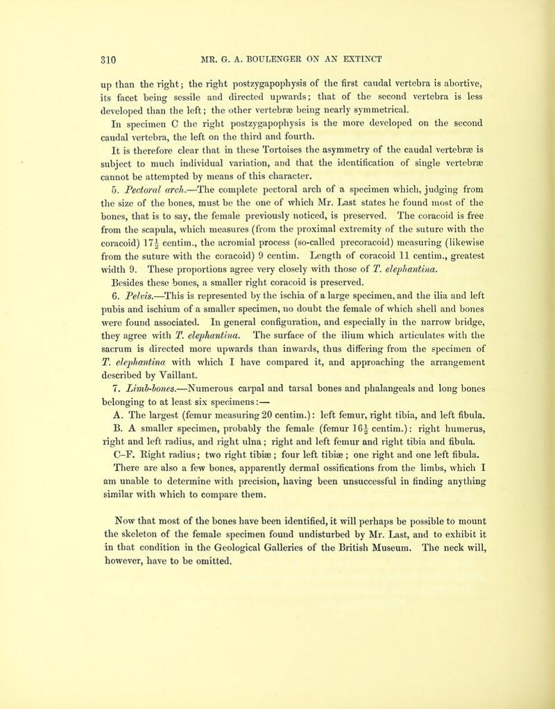 up than the right; the right postzygapophysis of the first caudal vertebra is abortive, its facet being sessile and directed upwards; that of the second vertebra is less developed than the left; the other vertebrae being nearly symmetrical. In specimen C the right postzygapophysis is the more developed on the second caudal vertebra, the left on the third and fourth. It is therefore clear that in these Tortoises the asymmetry of the caudal vertebrae is subject to much individual variation, and that the identification of single vertebrae cannot be attempted by means of this character. 5. Pectoral arch.—The complete pectoral arch of a specimen which, judging from the size of the bones, must be the one of which Mr. Last states he found most of the hones, that is to say, the female previously noticed, is preserved. The coracoid is free from the scapula, which measures (from the proximal extremity of the suture with the coracoid) 17^ centim., the acromial process (so-called precoracoid) measuring (likewise from the suture with the coracoid) 9 centim. Length of coracoid 11 centim., greatest width 9. These proportions agree very closely with those of T. elephantina. Besides these bones, a smaller right coracoid is preserved. 6. Pelvis.—This is represented by the ischia of a large specimen, and the ilia and left pubis and ischium of a smaller specimen, no doubt the female of which shell and bones were found associated. In general configuration, and especially in the narrow bridge, they agree with T. elephantina. The surface of the ilium which articulates with the sacrum is directed more upwards than inwards, thus differing from the specimen of T. elephantina with which I have compared it, and approaching the arrangement described by Vaillant. 7. Limb-bones.—Numerous carpal and tarsal bones and phalangeals and long bones belonging to at least six specimens:— A. The largest (femur measuring20 centim.): left femur, right tibia, and left fibula. B. A smaller specimen, probably the female (femur 16^ centim.): right humerus, right and left radius, and right ulna; right and left femur and right tibia and fibula. C-F. Bight radius; two right tibiae ; four left tibiae ; one right and one left fibula. There are also a few bones, apparently dermal ossifications from the limbs, which I am unable to determine with precision, having been unsuccessful in finding anything similar with which to compare them. Now that most of the bones have been identified, it will perhaps be possible to mount the skeleton of the female specimen found undisturbed by Mr. Last, and to exhibit it in that condition in the Geological Galleries of the British Museum. The neck will, however, have to be omitted.