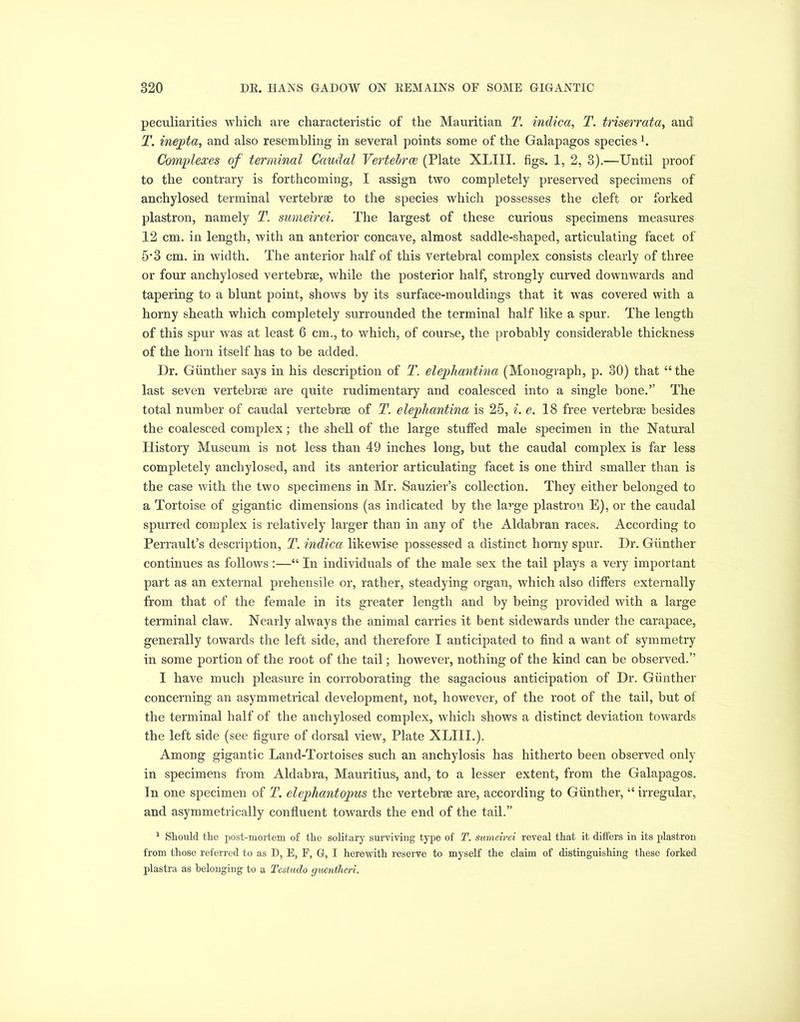 peculiarities which are characteristic of the Mauritian T. indica, T. triserrata, and T. inepta, and also resembling in several points some of the Galapagos species L Complexes of terminal Caudal Vertebrae (Plate XLIII. figs. 1, 2, 3).—Until proof to the contrary is forthcoming, I assign two completely preserved specimens of anchylosed terminal vertebrae to the species which possesses the cleft or forked plastron, namely T. sumeirei. The largest of these curious specimens measures 12 cm. in length, with an anterior concave, almost saddle-shaped, articulating facet of 5*3 cm. in width. The anterior half of this vertebral complex consists clearly of three or four anchylosed vertebrae, while the posterior half, strongly curved downwards and tapering to a blunt point, shows by its surface-mouldings that it was covered with a horny sheath which completely surrounded the terminal half like a spur. The length of this spur was at least 6 cm., to which, of course, the probably considerable thickness of the horn itself has to be added. Ur. Gunther says in his description of T. elepliantina (Monograph, p. 30) that “ the last seven vertebrae are quite rudimentary and coalesced into a single bone.” The total number of caudal vertebrae of T. elepliantina is 25, i. e. 18 free vertebrae besides the coalesced complex; the shell of the large stuffed male specimen in the Natural History Museum is not less than 49 inches long, but the caudal complex is far less completely anchylosed, and its anterior articulating facet is one third smaller than is the case with the two specimens in Mr. Sauzier’s collection. They either belonged to a Tortoise of gigantic dimensions (as indicated by the large plastron E), or the caudal spurred complex is relatively larger than in any of the Aldabran races. According to Perrault’s description, T. indica likewise possessed a distinct horny spur. Ur. Giinther continues as follows:—“ In individuals of the male sex the tail plays a very important part as an external prehensile or, rather, steadying organ, which also differs externally from that of the female in its greater length and by being provided with a large terminal claw. Nearly always the animal carries it bent sidewards under the carapace, generally towards the left side, and therefore I anticipated to find a want of symmetry in some portion of the root of the tail; however, nothing of the kind can be observed.” I have much pleasure in corroborating the sagacious anticipation of Ur. Giinther concerning an asymmetrical development, not, however, of the root of the tail, but of the terminal half of the anchylosed complex, which shows a distinct deviation towards the left side (see figure of dorsal view, Plate XLIII.). Among gigantic Land-Tortoises such an anchylosis has hitherto been observed only in specimens from Aldabra, Mauritius, and, to a lesser extent, from the Galapagos. In one specimen of T. elepliantopus the vertebrae are, according to Gunther, “irregular, and asymmetrically confluent towards the end of the tail.” 1 Should the post-mortem of the solitary surviving type of T. sumeirei reveal that it differs in its plastron from those referred to as I), E, F, G, I herewith reserve to myself the claim of distinguishing these forked plastra as belonging to a Testuclo guentheri.
