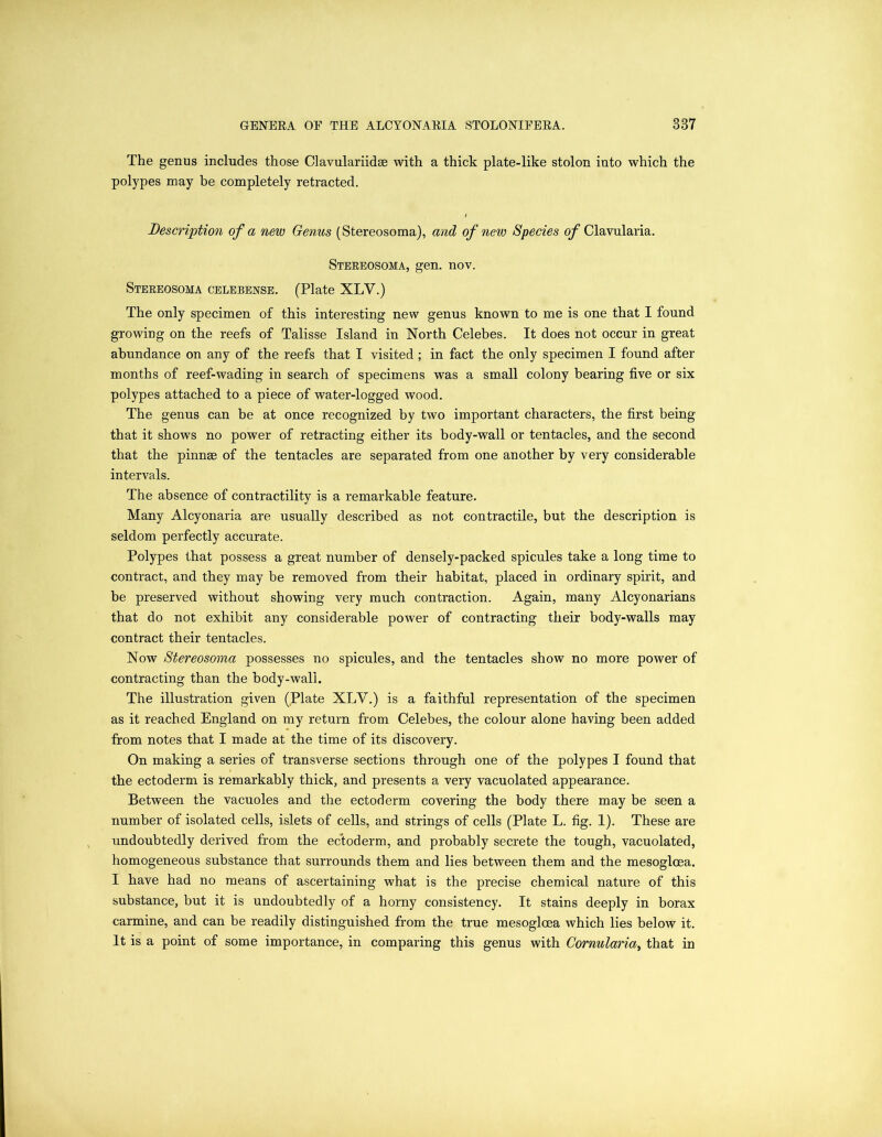 The genus includes those Clavulariidse with a thick plate-like stolon into which the polypes may be completely retracted. Description of a new Genus (Stereosoma), and of new Species of Clavularia. Stereosoma, gen. nov. Stereosoma celebense. (Plate XLV.) The only specimen of this interesting new genus known to me is one that I found growing on the reefs of Talisse Island in North Celebes. It does not occur in great abundance on any of the reefs that I visited ; in fact the only specimen I found after months of reef-wading in search of specimens was a small colony bearing five or six polypes attached to a piece of water-logged wood. The genus can be at once recognized by two important characters, the first being that it shows no power of retracting either its body-wall or tentacles, and the second that the pinnse of the tentacles are separated from one another by very considerable intervals. The absence of contractility is a remarkable feature. Many Alcyonaria are usually described as not contractile, but the description is seldom perfectly accurate. Polypes that possess a great number of densely-packed spicules take a long time to contract, and they may be removed from their habitat, placed in ordinary spirit, and be preserved without showing very much contraction. Again, many Alcyonarians that do not exhibit any considerable power of contracting their body-walls may contract their tentacles. Now Stereosoma possesses no spicules, and the tentacles show no more power of contracting than the body-wall. The illustration given (Plate XLV.) is a faithful representation of the specimen as it reached England on my return from Celebes, the colour alone having been added from notes that I made at the time of its discovery. On making a series of transverse sections through one of the polypes I found that the ectoderm is remarkably thick, and presents a very vacuolated appearance. Between the vacuoles and the ectoderm covering the body there may be seen a number of isolated cells, islets of cells, and strings of cells (Plate L. fig. 1). These are undoubtedly derived from the ectoderm, and probably secrete the tough, vacuolated, homogeneous substance that surrounds them and lies between them and the mesoglcea. I have had no means of ascertaining what is the precise chemical nature of this substance, but it is undoubtedly of a horny consistency. It stains deeply in borax carmine, and can be readily distinguished from the true mesogloea which lies below it. It is a point of some importance, in comparing this genus with Cornularia, that in