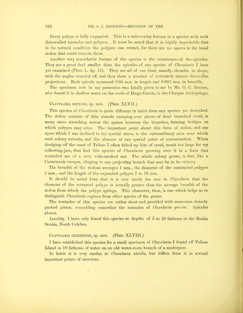 Every polype is fully expanded. This is a noteworthy feature in a species with such thin-walled tentacles and polypes. It must be noted that it is highly improbable that in the natural condition the polypes can retract, for there are no spaces in the basal stolon that could contain them. Another very remarkable feature of the species is the minuteness of the spicules. They are a great deal smaller than the spicules of any species of Clavularia I have yet examined (Plate L. fig. 15). They are all of one kind, namely, rhombic in shape, with the angles rounded off, and they show a number of extremely minute thorn-like projections. Each spicule measured 0'05 mm. in length and T003 mm. in breadth. The specimen now in my possession was kindly given to me by Mr. G. C. Bourne, who found it in shallow water on the reefs of Diego Garcia, in the Chargos Archipelago. Clavularia reptans, sp. nov. (Plate XLVXI.) This species of Clavularia is quite different in habit from any species yet described. The stolon consists of thin strands creeping over pieces of dead branched coral, in many cases stretching across the spaces between the branches, forming bridges on which polypes may arise. The important point about this form of stolon, and one upon which I was inclined to lay special stress, is the extraordinary area over which each colony extends, and the absence of any special point of concentration. When dredging off the coast of Talisse I often fished up bits of coral, much too large for my collecting-jars, that had this species of Clavularia growing over it in a form that reminded me of a very wide-meshed net. The whole colony grows, in fact, like a Canariensis creeper, clinging to any projecting branch that may be in its vicinity. The breadth of the stolons averages 1 mm., the diameter of the contracted polypes 2 mm., and the length of the expanded polypes 7 to 10 mm. It should be noted here that it is very rarely the case in Clavularia that the diameter of the retracted polype is actually greater than the average breadth of the stolon from which the polype springs. This character, then, is one which helps us to distinguish Clavularia reptans from other species of the genus. The tentacles of this species are rather short and provided with numerous densely packed pinnae, resembling somewhat the tentacles of Clavularia garcice. Spicules absent. Locality. I have only found this species at depths of 5 to 20 fathoms in the Banka Straits, North Celebes. Clavularia celebensis, sp. nov. (Plate XLVIII.) I have established this species for a small specimen of Clavularia I found off Talisse Island in 10 fathoms of water on an old water-worn branch of a madrepore. In habit it is very similar to Clavularia viridis, but differs from it in several important points of structure.