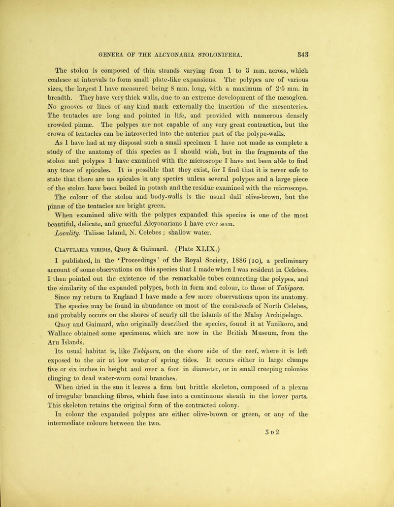 The stolon is composed of thin strands varying from 1 to 3 mm. across, which coalesce at intervals to form small plate-like expansions. The polypes are of various sizes, the largest I have measured being 8 mm. long, with a maximum of 2-5 mm. in breadth. They have very thick walls, due to an extreme development of the mesogloea. No grooves or lines of any kind mark externally the insertion of the mesenteries. The tentacles are long and pointed in life, and provided with numerous densely crowded pinnse. The polypes are not capable of any very great contraction, but the crown of tentacles can be introverted into the anterior part of the polype-walls. As I have had at my disposal such a small specimen I have not made as complete a study of the anatomy of this species as I should wish, but in the fragments of the stolon and polypes I have examined with the microscope I have not been able to find any trace of spicules. It is possible that they exist, for I find that it is never safe to state that there are no spicules in any species unless several polypes and a large piece of the stolon have been boiled in potash and the residue examined with the microscope. The colour of the stolon and body-walls is the usual dull olive-brown, but the pinnae of the tentacles are bright green. When examined alive with the polypes expanded this species is one of the most beautiful, delicate, and graceful Alcyonarians I have ever seen. Locality. Talisse Island, N. Celebes ; shallow water. Clavularia viridis, Quoy & Gaimard. (Plate XLIX.) I published, in the ‘Proceedings’ of the Royal Society, 1886 (io), a preliminary account of some observations on this species that I made when I was resident in Celebes. I then pointed out the existence of the remarkable tubes connecting the polypes, and the similarity of the expanded polypes, both in form and colour, to those of Tubipora. Since my return to England I have made a few more observations upon its anatomy. The species may be found in abundance on most of the coral-reefs of North Celebes, and probably occurs on the shores of nearly all the islands of the Malay Archipelago. Quoy and Gaimard, who originally described the species, found it at Vanikoro, and Wallace obtained some specimens, which are now in the British Museum, from the Aru Islands. Its usual habitat is, like Tubipora, on the shore side of the reef, where it is left exposed to the air at low watej of spring tides. It occurs either in large clumps five or six inches in height and over a foot in diameter, or in small creeping colonies clinging to dead water-worn coral branches. When dried in the sun it leaves a firm but brittle skeleton, composed of a plexus of irregular branching fibres, which fuse into a continuous sheath in the lower parts. This skeleton retains the original form of the contracted colony. In colour the expanded polypes are either olive-brown or green, or any of the intermediate colours between the two. 3 d 2