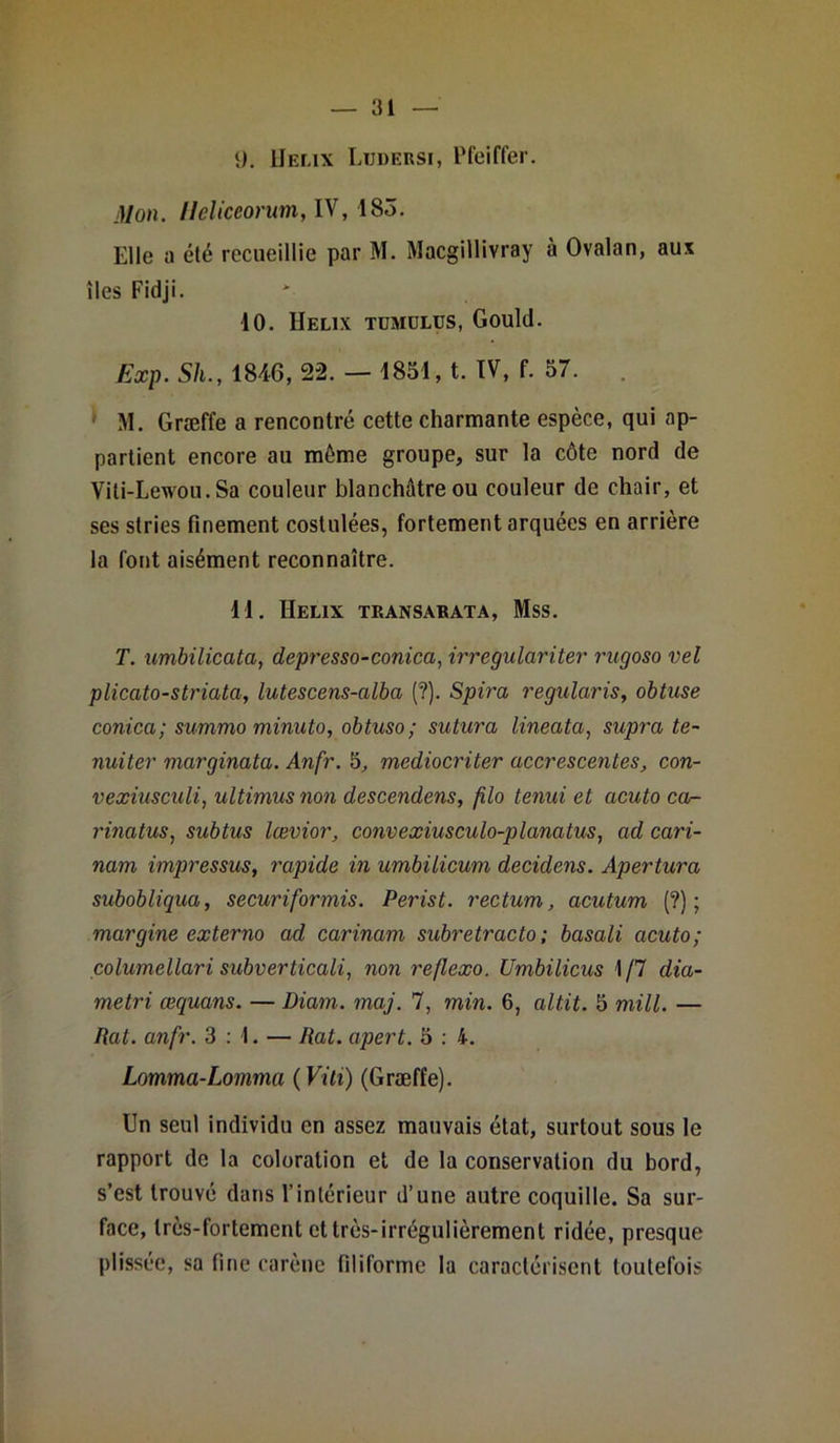 9. Hélix Ludersi, Pfeiffer. Mon. Ileliceorum, IV, 185. Elle a été recueillie par M. Macgillivray à Ovalan, aux îles Fidji. 10. Hélix tdmülus, Gould. Exp. Sli., 1846, 22. — 1851, t. IV, f. 57. * M. Græffe a rencontré cette charmante espèce, qui ap- partient encore au même groupe, sur la côte nord de Viti-Lewou. Sa couleur blanchâtre ou couleur de chair, et ses stries Finement costulées, fortement arquées en arrière la font aisément reconnaître. 11. IIelix transarata, Mss. T. umbilicata, depresso-conica, irregulariter rugoso vel plicato-striata, lutescens-alba (?). Spira regularis, obtuse conica; summo minuto, obtuso; sutura lineata, supra te- nuiter marginata. Anfr. 5, mediocriter accrescentes, con- vexiusculi, ultimus non descendons, füo tenui et acuto ca- rinatus, subtus lævior, convexiusculo-planatus, ad cari- nam impressus, rapide in umbilicum decidens. Apertura subobliqua, securiformis. Péris t. rectum, acutum (?) ; margine externo ad carinam subretracto; basali acuto; columellari subverticaii, non reflexo. Umbilicus 1/7 dia- metri œquans. — Diam. maj. 7, min. 6, altit. 5 mill. — Rat. anfr. 3:1. — Rat. apert. 5 : 4. Lomma-Lomma ( Viti) (Græffe). Un seul individu en assez mauvais état, surtout sous le rapport de la coloration et de la conservation du bord, s’est trouvé dans l’intérieur d’une autre coquille. Sa sur- face, très-fortement et très-irrégulièrement ridée, presque plissée, sa Fine carène filiforme la caractérisent toutefois