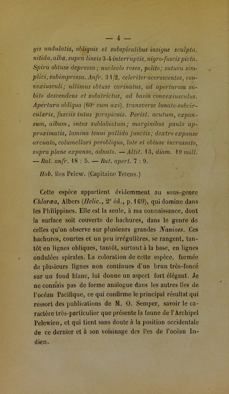 gis undulatis, obliquis et subspiralibus insigne sculpta, nüida,alba, supra lineis3-4interruptis,nigro-fuscispicta. Spira obtuse depressa ; nucleolo roseo, polito; sutura sim- plici, subimpressa. Anfr. 31/2, celeriter accrescentes, con- vexiusculi; ultimus obtuse carinatus, ad aperturctm su- bito descendais et substrictus, ad basin convexiusculus. Apertura obliqua (60° cum axi), transverse lunalo-subcir- cularis, fasciis in tus perspicuis. Perist. acutum, expan- sum, album, intus sublabiatum; marginibus paulo ap- proximatis, lamina tenui pallida junctis; dextro expanse arcuato, columellari perobliquo, late et obtuse incrassato, supra plane expanso, adnato. —Altit. 13, diam. 19 mill. — Rat. anfr. 18 : 5. — Rat. apert. 7 : 9. Hab. îles Pelew. (Capitaine Tetens.) Cette espèce appartient évidemment au sous-genrc Chlorœa, Albers (Helic., 2e éd., p.169), qui domine dans les Philippines. Elle est la seule, à ma connaissance, dont la surface soit couverte de hachures, dans le genre de celles qu’on observe sur plusienrs grandes Nanines. Ces hachures, courtes et un peu irrégulières, se rangent, tan- tôt en lignes obliques, tanlôt, surtout à la base, en lignes ondulées spirales. La coloration de cette espèce, formée de plusieurs lignes non continues d’un brun très-foncé sur un fond blanc, lui donne un aspect fort élégant. Je ne connais pas de forme analogue dans les autres îles de l’océan Pacifique, ce qui confirme le principal résultat qui ressort des publications de RI. O. Semper, savoir le ca- ractère très-particulier que présente la faune de l’Archipel Pelewien, et qui tient sans doute à la position occidentale de ce dernier et à son voisinage des îles de l’océan In- dien.