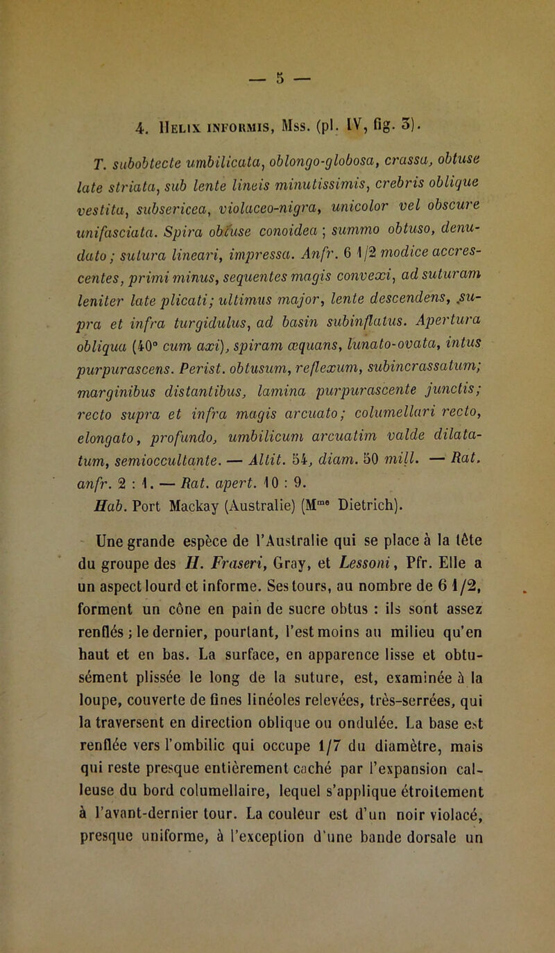 T. subobtecte umbilicata, oblongo-globosa, crussa, obtuse late striata, sub lente lineis minutissimis, cre&ris oblique vestita, subsericea, violaceo-nigra, unicolor vel obscure unifasciata. Spira obcuse conoidea ; summo obtuso, dénu- da to ; sutura lineari, impressa. Anfr. 6 1/2 modice accres- centes, primi minus, sequentes mugis convexi, suturam leniter late plicati; ultimus major, lente descendens, pu- pra et infra turgidulus, ad basin subinflatus. Apertura obliqua (40° cum axi), spiram œquans, lunato-ovata, intus purpurascens. Perist. obtusum, reflexum, subincrassatum; marginibus distantibus, lamina purpurascente junctis; recto supra et infra mugis arcuato; columellari recto, elongato, profundo, umbilicum arcuatim valde dilata- tum, semioccultante. — Âltit. 54, diam. 50 mill. — Rat. anfr. 2:1. — Rat. apert. 10:9. Hab. Port Mackay (Australie) (Mm0 Dietrich). Une grande espèce de l’Australie qui se place à la tête du groupe des U. Fraseri, Gray, et Lessoni, Pfr. Elle a un aspect lourd et informe. Ses tours, au nombre de 6 1/2, forment un cône en pain de sucre obtus : ils sont assez renflés ; le dernier, pourtant, l’est moins au milieu qu’en haut et en bas. La surface, en apparence lisse et obtu- sément plissée le long de la suture, est, examinée à la loupe, couverte de fines linéoles relevées, très-serrées, qui la traversent en direction oblique ou ondulée. La base e>t renflée vers l’ombilic qui occupe 1/7 du diamètre, mais qui reste presque entièrement caché par l’expansion cal- leuse du bord columellaire, lequel s’applique étroitement à l’avant-dernier tour. La couleur est d’un noir violacé, presque uniforme, à l’exception d'une bande dorsale un