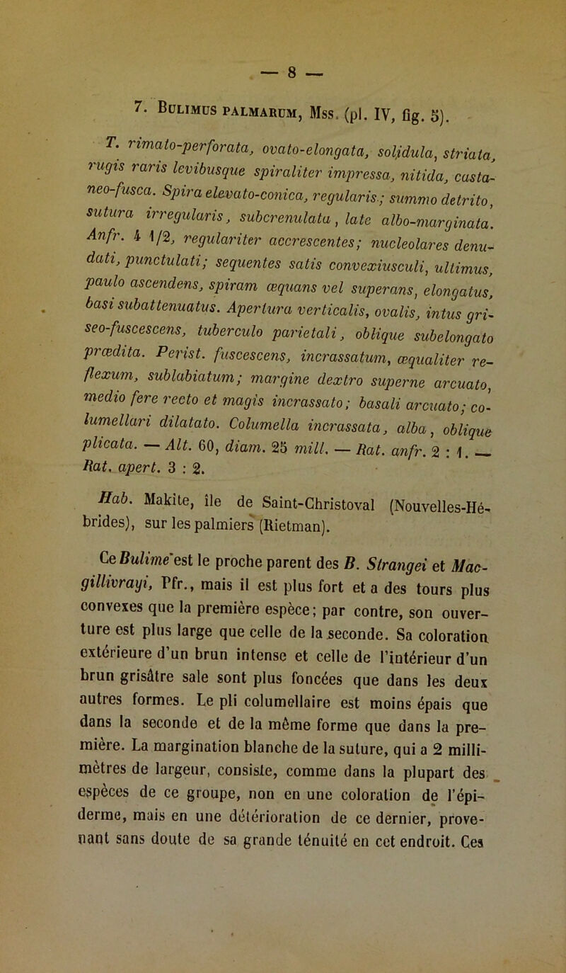 7. Bülimüs palmarüm, Mss. (pl. IV, Gg. 5). T. nmato-perforata, ovato-elongata, soljdula, striata, rugis ravis levibusque spiraliter impressa, nitida, casta- neo-fusca. Spira elevato-conica, regularis.; summo detrito, sutura irregularis, subcrenulata , lato albo-marginatà. Anfr. 4 1/2, regulariter accrescentes; nucleolares denu- dati, punctulati; sequentes satis convexiusculi, ultimus, paulo ascendens, spiram œquans vel superans, elongatus, basi subattenuatus. Aperlura verticalis, ovalis, intus gri- seo-fuscescens, tubercule parietali, oblique subelongato prœdita. Perist. fuscescens, incrassatum, œqualiter re- flexum, sublabiatum ; margine dextro superne arcuato, medio fere recto et magis incrassato; basali arcuato; co- lumellari dilatato. Columella incrassata, alba, oblique plicata. — Alt. 60, diam. 25 mill. — Rat. anfr. 2:1. Rat. apert. 3 : 2. Hab. Makite, île de Saint-Christoval (Nouvelles-Hé- brides), sur les palmiers (Rietman). Ce Bulime'est le proche parent des B. Strangei et Mac- gillivrayi, Pfr., mais il est plus fort et a des tours plus convexes que la première espèce; par contre, son ouver- ture est plus large que celle de la seconde. Sa coloration extérieure d un brun intense et celle de l’intérieur d’un brun grisâtre sale sont plus foncées que dans les deux autres formes. Le pli columellaire est moins épais que dans la seconde et de la môme forme que dans la pre- mière. La margination blanche de la suture, qui a 2 milli- mètres de largeur, consiste, comme dans la plupart des espèces de ce groupe, non en une coloration de l’épi- derme, mais en une détérioration de ce dernier, prove- nant sans doute de sa grande ténuité en cet endroit. Ces