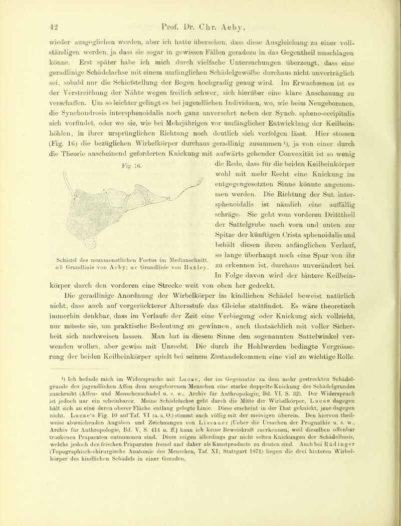 wieder ausgeglichen werden, aber icli hatte übersehen, dass diese Ausgleichung zu einer voll- ständigen werden, ja dass sie sogar in gewissen Fällen geradezu in das Gegentheil Umschlagen könne. Erst später habe ich mich durch vielfache Untersuchungen überzeugt, dass eine geradlinige Schädelachse mit einem umfänglichen Schädelgewölbe durchaus nicht unverträglich sei, sobald nur die Schiefstellung der Bogen hochgradig genug wird. Im Erwachsenen ist es der Verstreichung der Nähte wegen freilich schwer, sich hierüber eine klare Anschauung zu verschaffen. Um so leichter gelingt es bei jugendlichen Individuen, wo, wie beim Neugeborenen, die Syncliondrosis intersphenoidalis noch ganz unversehrt neben der Synch. spheno-occipitalis sich vorfindet, oder wo sie, wie bei Mehrjährigen vor umfänglicher Entwicklung der Keilbein- höhlen, in ihrer ursprünglichen Richtung noch deutlich sich verfolgen lässt. Hier stossen (Fig. 16) die bezüglichen Wirbelkörper durchaus geradlinig zusammen !), ja von einer durch die Theorie anscheinend geforderten Knickung mit aufwärts gehender Convexität ist so wenig die Rede, dass für die beiden Keilbeinkörper wohl mit mehr Recht eine Knickung im entgegengesetzten Sinne könnte angenom- men werden. Die Richtung der Sut. inter- sphenoidalis ist nämlich eine auffällig schräge- Sie geht vom vorderen Dritttheil der Sattelgrube nach vorn und unten zur Spitze der künftigen Crista sphenoidalis und behält diesen ihren anfänglichen Verlauf, so lange überhaupt noch eine Spur von ihr Schädel des neunmonatlichen Foetus im Medianschnitt. ab Grundlinie von Aeby; ac Grundlinie von Iluxley. zu eikennen ist, durchaus unverändert bei. In Folge davon wird der hintere Keilbein- körper durch den vorderen eine Strecke weit von oben her gedeckt. Die geradlinige Anordnung der Wirbelkörper im kindlichen Schädel beweist natürlich nicht, dass auch auf vorgerückterer Altersstufe das Gleiche stattfindet. Es wäre theoretisch immerhin denkbar, dass im Verlaufe der Zeit eine Verbiegung oder Knickung sich vollzieht, nur müsste sie, um praktische Bedeutung zu gewinnen, auch thatsächlich mit voller Sicher- heit sich nachweisen lassen. Man hat in diesem Sinne den sogenannten Sattelwinkel ver- wenden wollen, aber gewiss mit Unrecht. Die durch ihr Hohlwerden bedingte Vergrösse- rung der beiden Keilbeinkörper spielt bei seinem Zustandekommen eine viel zu wichtige Rolle. ü Ich befinde mich im Widerspruche mit Lucae, der im Gegensätze zu dem mehr gestreckten Schädel- grunde des jugendlichen Affen dem neugeborenen Menschen eine starke doppelte Knickung des Schädelgrundes zuschreibt (Affen- und Menschenschädel u. s. w., Archiv für Anthropologie, Bd. VI, S. 32). Der Widerspruch ist jedoch nur ein scheinbarer. Meine Schädelachse geht durch die Mitte der Wirbelkörper, Lucae dagegen hält sich an eine deren oberer Fläche entlang gelegte Linie. Diese erscheint in der That geknickt, jene dagegen nicht. Lucae’s Fig. 10 aut'Taf. VI (a. a. 0.) stimmt auch völlig mit der meinigen überein. Den hiervon theil- weise abweichenden Angaben und Zeichnungen von Lissauer (Ueber die Ursachen der Prognathie u. s. w., Archiv für Anthropologie, Bd. V, S. 414 u. ff.) kann ich keine Beweiskraft zuerkennen, weil dieselben offenbar trockenen Präparaten entnommen sind. Diese zeigen allerdings gar nicht selten Knickungen der Schädelbasis, welche jedoch den frischen Präparaten fremd und daher als Ivunstproducte zu deuten sind. Auch bei Rüdinger (Topographisch-chirurgische Anatomie des Menschen, Taf. XI; Stuttgart 1871) liegen die drei hinteren Wirbel- körper des kindlichen Schädels in einer Geraden. Fig 16.