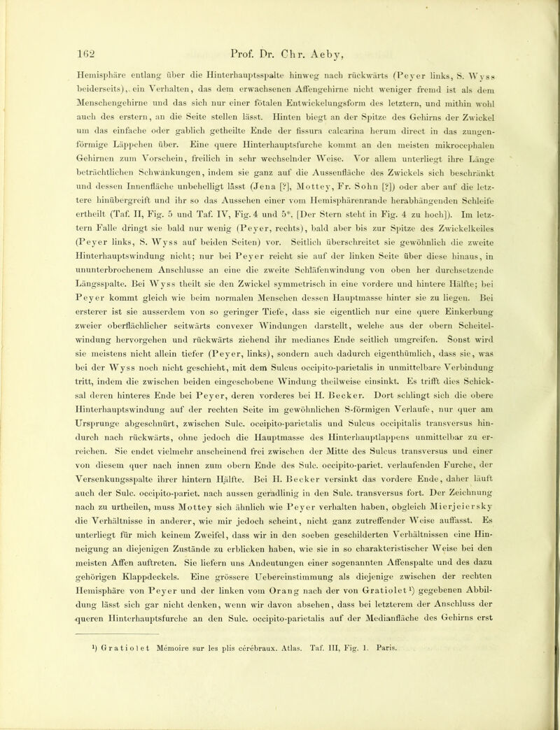 Hemisphäre entlang über die Hinterhauptsspalte hinweg nach rückwärts (Peyer links, S. Wyss beiderseits), ein Verhalten, das dem erwachsenen Affengehirne nicht weniger fremd ist als dem Menschengehirne und das sich nur einer fötalen Entwickelungsform des letztem, und mithin wold auch des erstem, an die Seite stellen lässt. Hinten biegt an der Spitze des Gehirns der Zwickel um das einfache oder gablich getlieilte Ende der fissura calcarina herum direct in das zungen- förmige Läppchen über. Eine quere Hinterhauptsfurche kommt an den meisten mikrocephalen Gehirnen zum Vorschein, freilich in sehr wechselnder Weise. Vor allem unterließt ihre Län^e beträchtlichen Schwankungen, indem sie ganz auf die Aussenfläche des Zwickels sich beschränkt und dessen Innenfläche unbehelligt lässt (Jena [?], Mottey, Fr. Sohn [?]) oder aber auf die letz- tere hinübergreift und ihr so das Aussehen einer vom Hemisphärenrande herabhängenden Schleife ertheilt (Taf. II, Fig. 5 und Taf. IV, Fig. 4 und 5*, [Der Stern steht in Fig. 4 zu hoch]). Im letz- tem Falle dringt sie bald nur wenig (Peyer, rechts), bald aber bis zur Spitze des Zwickelkeiles (Peyer links, S. Wyss auf beiden Seiten) vor. Seitlich überschreitet sie gewöhnlich die zweite Hinterhauptswindung nicht; nur bei Peyer reicht sie auf der linken Seite über diese hinaus, in ununterbrochenem Anschlüsse an eine die zweite Schläfenwindung von oben her durchsetzende Längsspalte. Bei Wyss theilt sie den Zwickel symmetrisch in eine vordere und hintere Hälfte; bei Peyer kommt gleich wie beim normalen Menschen dessen Hauptmasse hinter sie zu liegen. Bei ersterer ist sie ausserdem von so geringer Tiefe, dass sie eigentlich nur eine quere Einkerbung zweier oberflächlicher seitwärts convexer Windungen darstellt, welche aus der obern Scheitel- windung hervorgehen und rückwärts ziehend ihr medianes Ende seitlich umgreifen. Sonst wird sie meistens nicht allein tiefer (Peyer, links), sondern auch dadurch eigenthümlicli, dass sie, was bei der Wyss noch nicht geschieht, mit dem Sulcus occipito-parietalis in unmittelbare Verbindung tritt, indem die zwischen beiden eingeschobene Windung theilweise einsinkt. Es trifft dies Schick- sal deren hinteres Ende bei Peyer, deren vorderes bei H. Becker. Dort schlingt sich die obere Hinterhauptswindung auf der rechten Seite im gewöhnlichen S-förmigen Verlaufe, nur quer am Ursprünge abgeschnürt, zwischen Sulc. occipito-parietalis und Sulcus occipitalis transversus hin- durch nach rückwärts, ohne jedoch die Hauptmasse des Hinterhauptlappens unmittelbar zu er- reichen. Sie endet vielmehr anscheinend frei zwischen der Mitte des Sulcus transversus und einer von diesem quer nach innen zum obern Ende des Sulc. occipito-pariet. verlaufenden Furche, der Versenkungsspalte ihrer hintern Hälfte. Bei H. Becker versinkt das vordere Ende, daher läuft auch der Sulc. occipito-pariet. nach aussen geradlinig in den Sulc. transversus fort. Der Zeichnung nach zu urtheilen, muss Mottey sich ähnlich wie Peyer verhalten haben, obgleich Mierjeiersky die Verhältnisse in anderer, wie mir jedoch scheint, nicht ganz zutreffender Weise auflasst. Es unterliegt für mich keinem Zweifel, dass wir in den soeben geschilderten Verhältnissen eine Hin- neigung an diejenigen Zustände zu erblicken haben, wie sie in so charakteristischer Weise bei den meisten Affen auftreten. Sie liefern uns Andeutungen einer sogenannten Affenspalte und des dazu gehörigen Klappdeckels. Eine grössere Uebereinstimmung als diejenige zwischen der rechten Hemisphäre von Peyer und der linken vom Orang nach der von Gratiolet1) gegebenen Abbil- dung lässt sich gar nicht denken, wenn wir davon absehen, dass bei letzterem der Anschluss der queren Hinterhauptsfurche an den Sulc. occipito-parietalis auf der Medianfläche des Gehirns erst b Gratiolet Memoire sur les plis cerebraux. Atlas. Taf. III, Fig. 1. Paris.