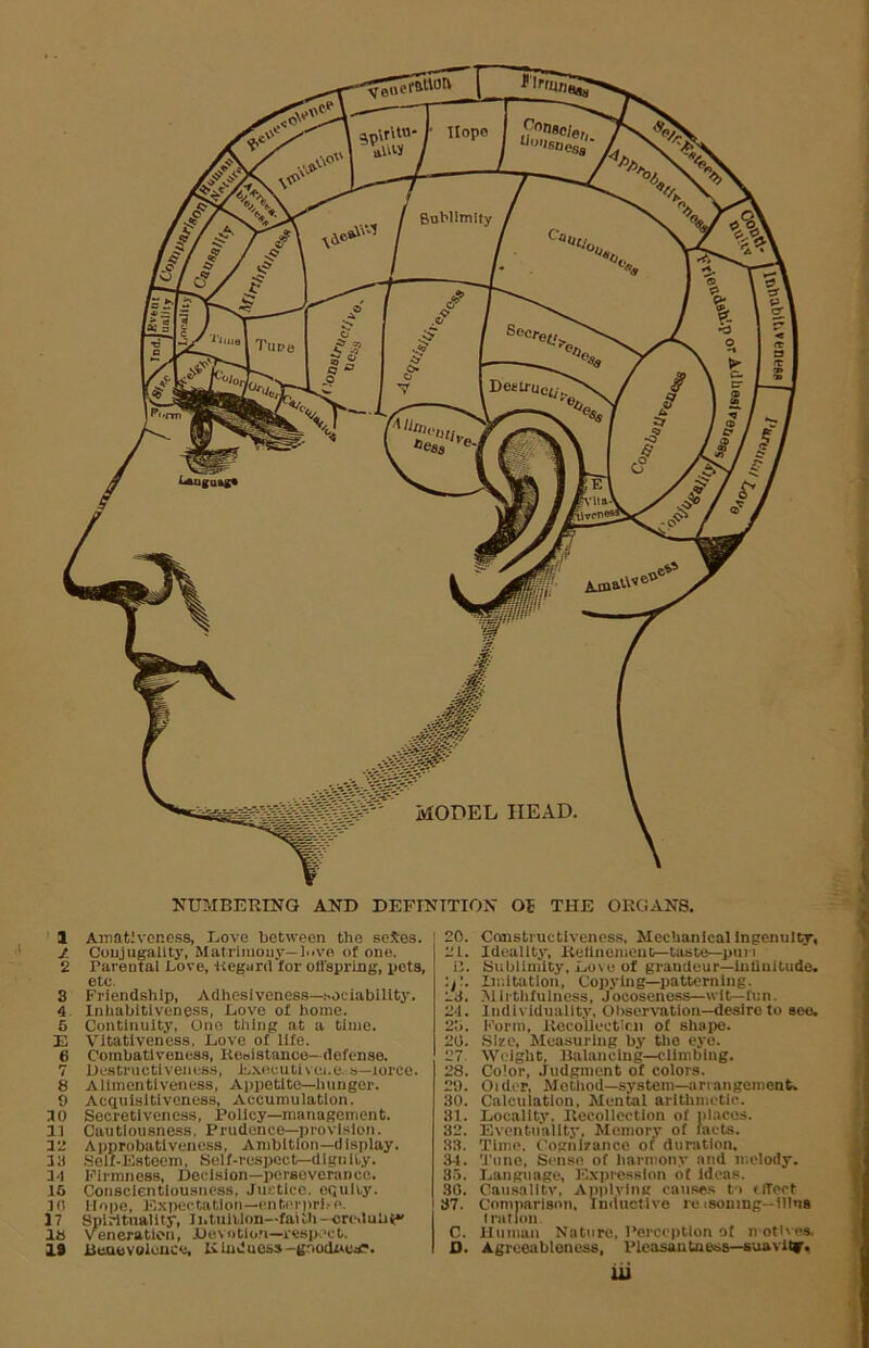 'SDesi BoMlmlty Dee trill MODEL HEAD, NUMBERENQ AND DEFINITION Oi THE ORCiANS. 1 Ainativeness, Love between the seSes. J. Conjugality, Matrimony—h>ve of one. 2 Parental Love, ttegurrt for offspring, pets, etc. 3 Friendship, Adhesiveness—.sociability. 4. Inhabitiveness, Love of home. 5 Continuity, One thing at a time. E Vltatlveness, Love of life. 6 Corabatlveness, liooistanco—defense. 7 Ucstructiveiiuss, Exeeutivei.e. s—lorce. 8 Allinentlveiicss, Appetite—hunger. 9 Acquisitiveness, Accumulation. JO Secretlvencss, Policy—nianagcinont. 13 Cautiousness. Prudence—provl.slon. 32 Approbatlveness, Ambition—display. 13 Sielf-Esteem, Self-respect—dignity. 34 Firmness, Decision—perseverance. 16 Conscientiousness, Justice, equity. 30 Hope, Expectation—enti'nirl.-e. 17 Spiritnality, Intuition—faith—crc.luUP' lb veneration, Devotlo.n—respect. 19 Bunevolouce, Eiuducss—gnocUiCif. 20. Constructiveness, Mechanical Ingenuity, 21. Ideality, Kellnemeut—taste—pun iJ. Sublimity, Love of grandeur—Inliuitude. lii'.itation. Copying—patterning. 23. .Mirthfulness, Jocosenoss—wit—fun. 24. Individuality, Ohservation—desire to see. 2o. Form, Recollection of shape. 20. .Size, Measuring by tho eye. 27. Weight, Ualanclng—climbing. 28. Color, .ludginent of colors. 29. Older, Method—system—anangement. 30. Calculation, Mental aritlimetic. 31. Locality. Recollection of nlaces. 32. Eventuality, Memory of facts. 33. Time. Cognizance of dunition. 34. Tune, Sense of harmony and melody. 35. Lungnage, Expre.ssIon of Ideas. 30. Cansalltv. Applying canse.s to tITect 37. Comparison, iniiuclive re isouing—111ns Iration. C. lliiman Nature, Perception ot n otives. O. Agreeiibloness, Pleasantness—suavUr. iii