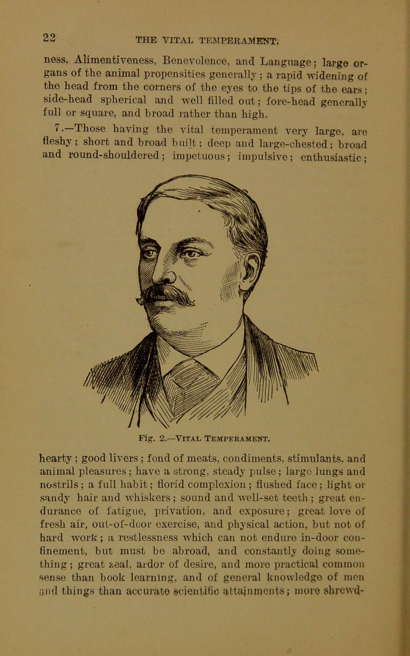 ness, Alimentiveness, Benevolence, and Language; large or- gans of the animal propensities generally ; a rapid ’widening of the head from the corners of the eyes to the tips of the ears; side-head spherical and -w’ell filled out; fore-head generally full or square, and broad rather than high. ^-—Those having the vital temperament very large, are fleshy; short and broad built; deep and large-chested; broad and round-shouldered; impetuous; impulsive; enthusiastic; Fig. 2.—Vital Temperament. hearty ; good livers; fond of meats, condiments, stimulants, and animal pleasures ; have a strong, steady pulse; lai-gc lungs and nostrils; a full habit; florid complexion; flushed face ; light or sandy hair and whiskers; sound and well-set teeth ; great en- durance of fatigue, privation, and exposure; groat love of fresh air, out-of-door exercise, and physical action, but not of hard work; a restlessness which can not endure in-door con- finement, but must be abroad, and constantly doing some- thing ; groat zeal, ardor of desire, and more practical common sense than book learning, and of general knowledge of men i)nd things than accurate scientific attainments; more shrewd-