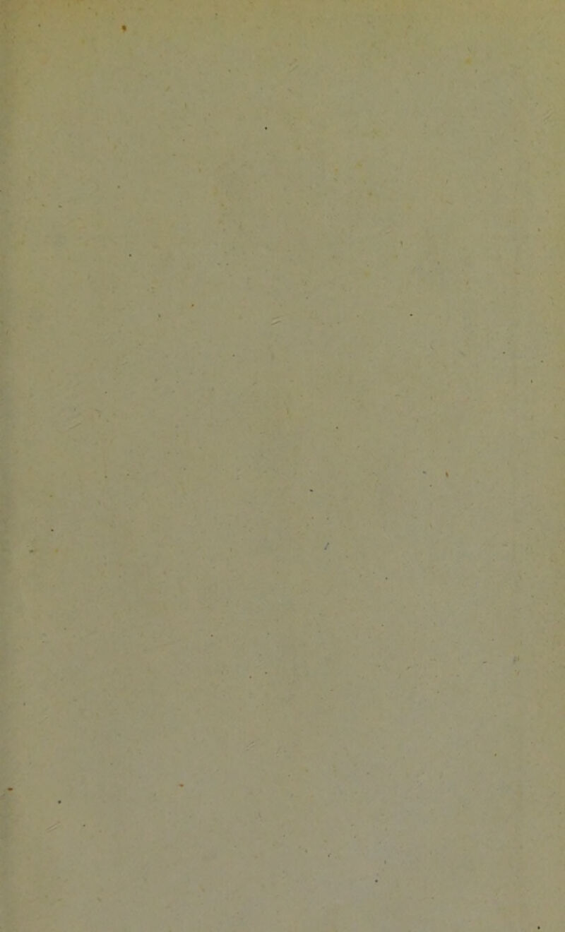 9 If '«» ^ • * * ’ r •« ',‘s A .T •k V • '• if*. ^ t/ f Y