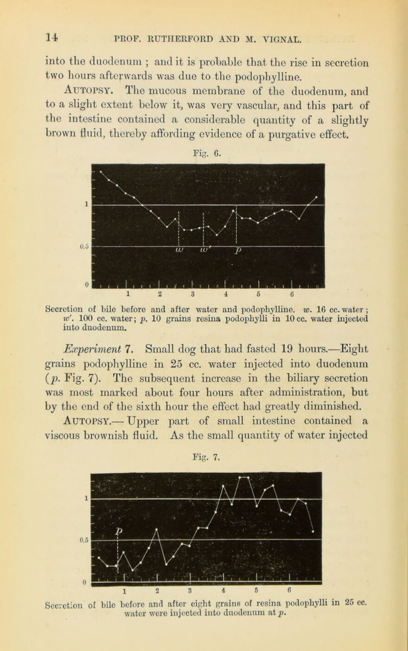 into the duodenum ; and it is probable that the rise in secretion two hours afterwards was due to the podophylline. Autopsy. The mucous membrane of the duodenum, and to a slight extent below it, was very vascular, and this part of the intestine contained a considerable quantity of a slightly brown fluid, thereby affording evidence of a purgative effect. Secretion of bile before and after water and podophylline. w. 16 cc.water; v>\ 100 cc. water; p. 10 grains resina podophylli in 10cc. water injected into duodenum. Experiment 7. Small dog that had fasted 19 hours.—Eight grains podojdiylline in 25 cc. water injected into duodenum (p. Fig. 7). The subsequent increase in the biliary secretion was most marked about four hours after administration, but by the end of the sixth hour the effect had greatly diminished. Autopsy.— Upper part of small intestine contained a viscous brownish fluid. As the small quantity of water injected Fig. 7. Secretion of bile before and after eight grains of resina podophylli in 25 cc. water were injected into duodenum at p.