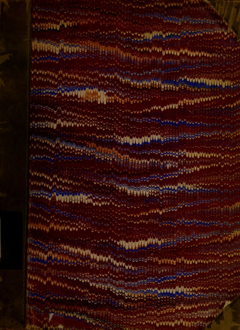 Si v WvV '^VVyVy, ^v^^vvvv yytfv