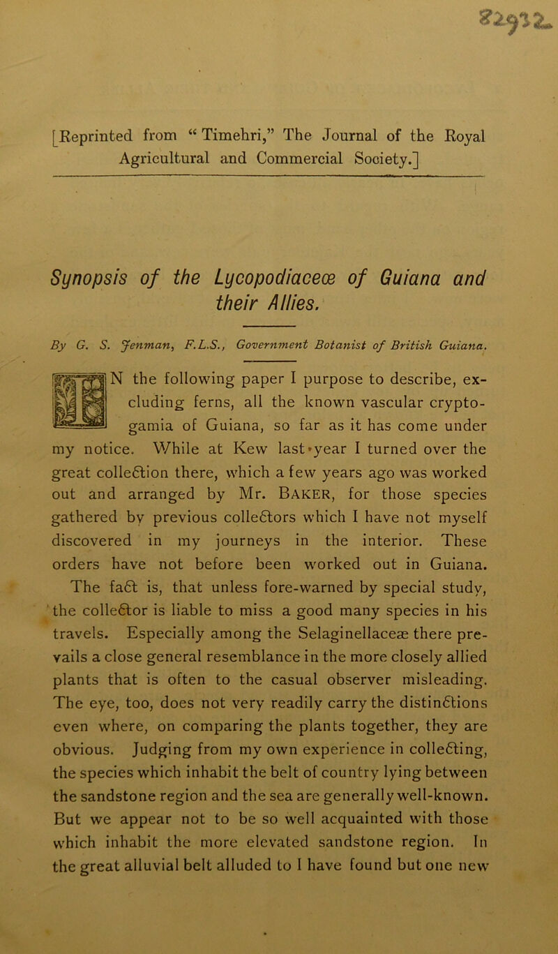 [Reprinted from “ Timehri,” The Journal of the Royal Agricultural and Commercial Society.] Synopsis of the Lycopodiacece of Guiana and their Allies. By G. S. Jenman, F.L.S., Government Botanist of British Guiana. N the following paper I purpose to describe, ex- cluding ferns, all the known vascular crypto- gamia of Guiana, so far as it has come under my notice. While at Kew last»year I turned over the great collection there, which a few years ago was worked out and arranged by Mr. Baker, for those species gathered by previous collectors which I have not myself discovered in my journeys in the interior. These orders have not before been worked out in Guiana. The faCt is, that unless fore-warned by special study, the collector is liable to miss a good many species in his travels. Especially among the Selaginellaceas there pre- vails a close general resemblance in the more closely allied plants that is often to the casual observer misleading. The eye, too, does not very readily carry the distinctions even where, on comparing the plants together, they are obvious. Judging from my own experience in collecting, the species which inhabit the belt of country lying between the sandstone region and the sea are generally well-known. But we appear not to be so well acquainted with those which inhabit the more elevated sandstone region. In