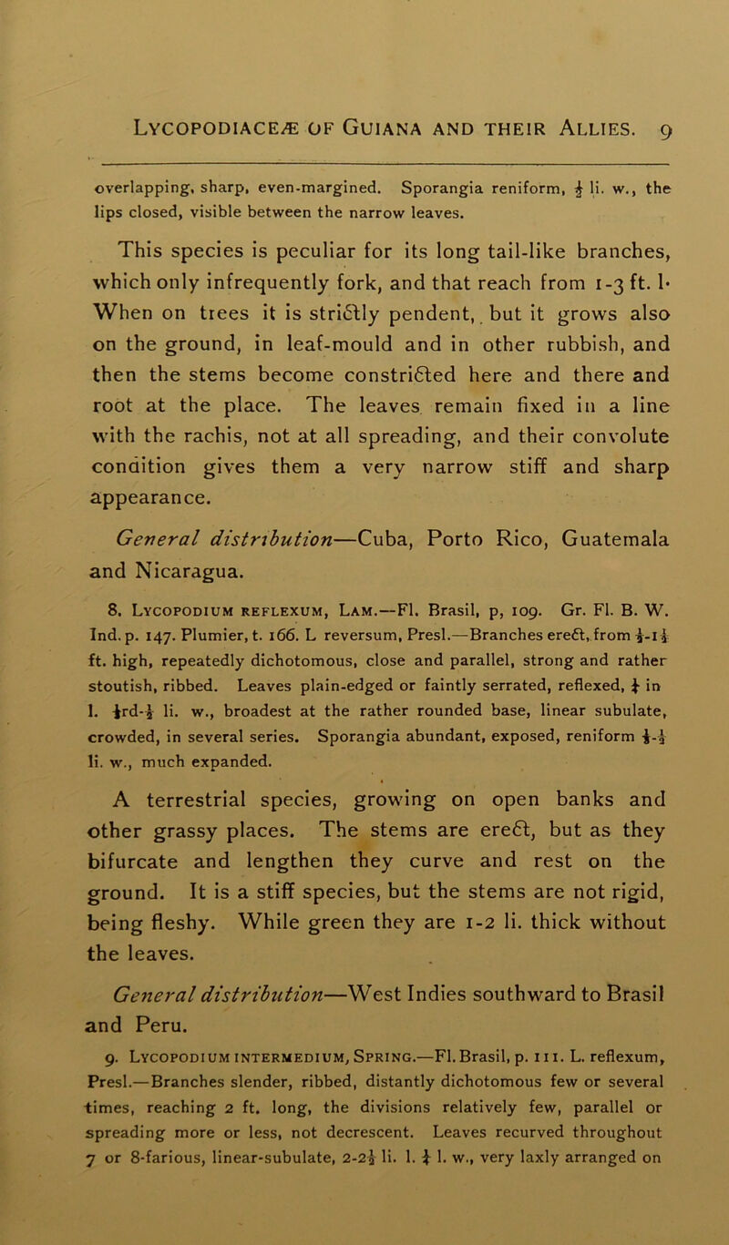 overlapping, sharp, even-margined. Sporangia reniform, £ li. w., the lips closed, visible between the narrow leaves. This species is peculiar for its long tail-like branches, which only infrequently fork, and that reach from 1-3 ft. 1* When on trees it is strictly pendent, but it grows also on the ground, in leaf-mould and in other rubbish, and then the stems become constri6ted here and there and root at the place. The leaves remain fixed in a line with the rachis, not at all spreading, and their convolute condition gives them a very narrow stiff and sharp appearance. General distribution—Cuba, Porto Rico, Guatemala and Nicaragua. 8. Lycopodium reflexum, Lam.—FI. Brasil, p, 109. Gr. FI. B. W. Ind. p. 147. Plunder, t. 166. L reversum, Presl.—Branches eredt, from i-i* ft. high, repeatedly dichotomous, close and parallel, strong and rather stoutish, ribbed. Leaves plain-edged or faintly serrated, reflexed, ^ in 1. ird-£ li. w., broadest at the rather rounded base, linear subulate, crowded, in several series. Sporangia abundant, exposed, reniform li. w., much expanded. A terrestrial species, growing on open banks and other grassy places. The stems are eredt, but as they bifurcate and lengthen they curve and rest on the ground. It is a stiff species, but the stems are not rigid, being fleshy. While green they are 1-2 li. thick without the leaves. General distribution—West Indies southward to Brasil and Peru. 9. Lycopodium intermedium, Spring.—FI.Brasil, p. 111. L. reflexum, Presl.—Branches slender, ribbed, distantly dichotomous few or several times, reaching 2 ft. long, the divisions relatively few, parallel or spreading more or less, not decrescent. Leaves recurved throughout 7 or 8-farious, linear-subulate, 2-2% li. 1. £ 1. w., very laxly arranged on